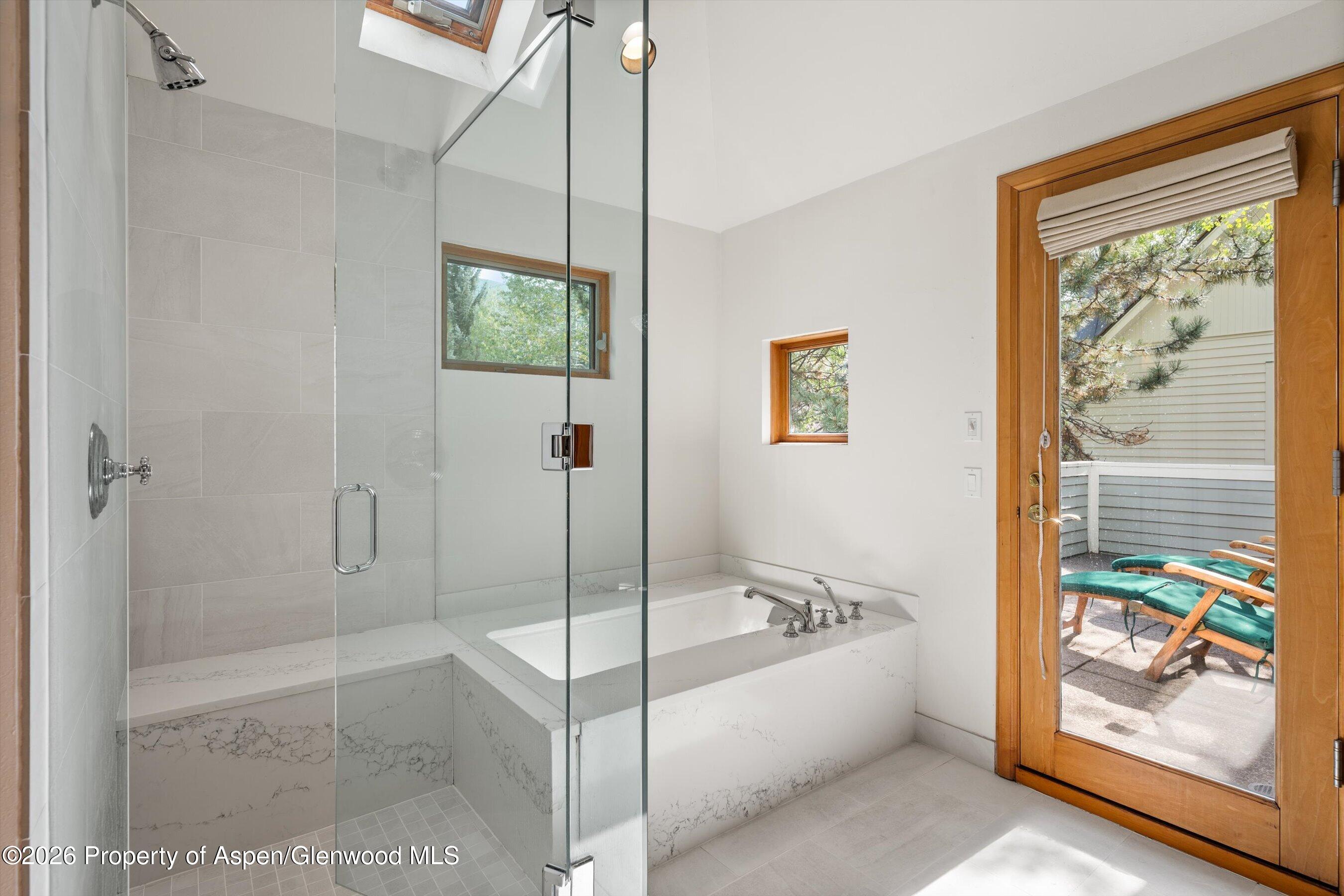 620 W Hallam Street Aspen CO 81611