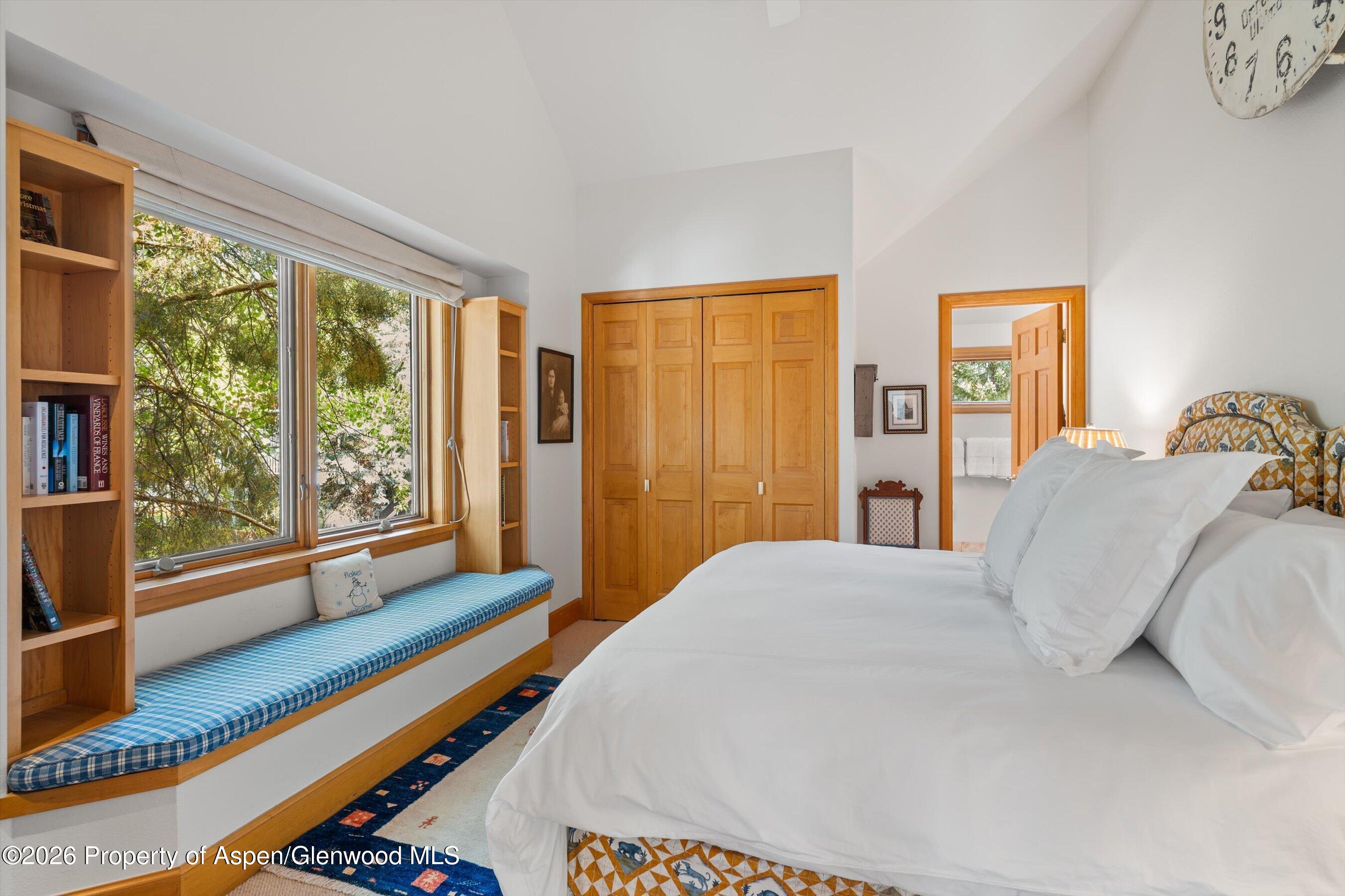 620 W Hallam Street Aspen CO 81611
