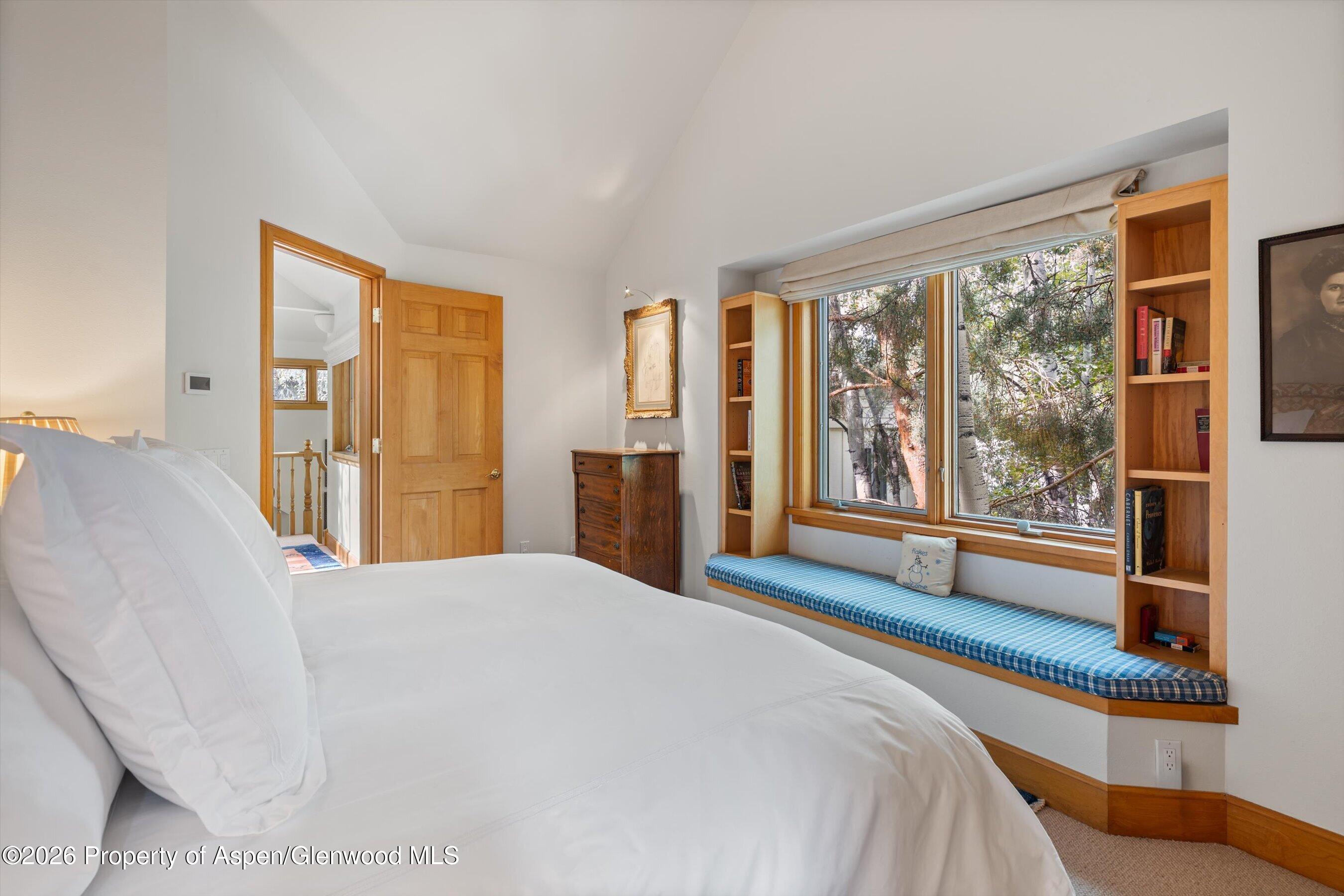 620 W Hallam Street Aspen CO 81611