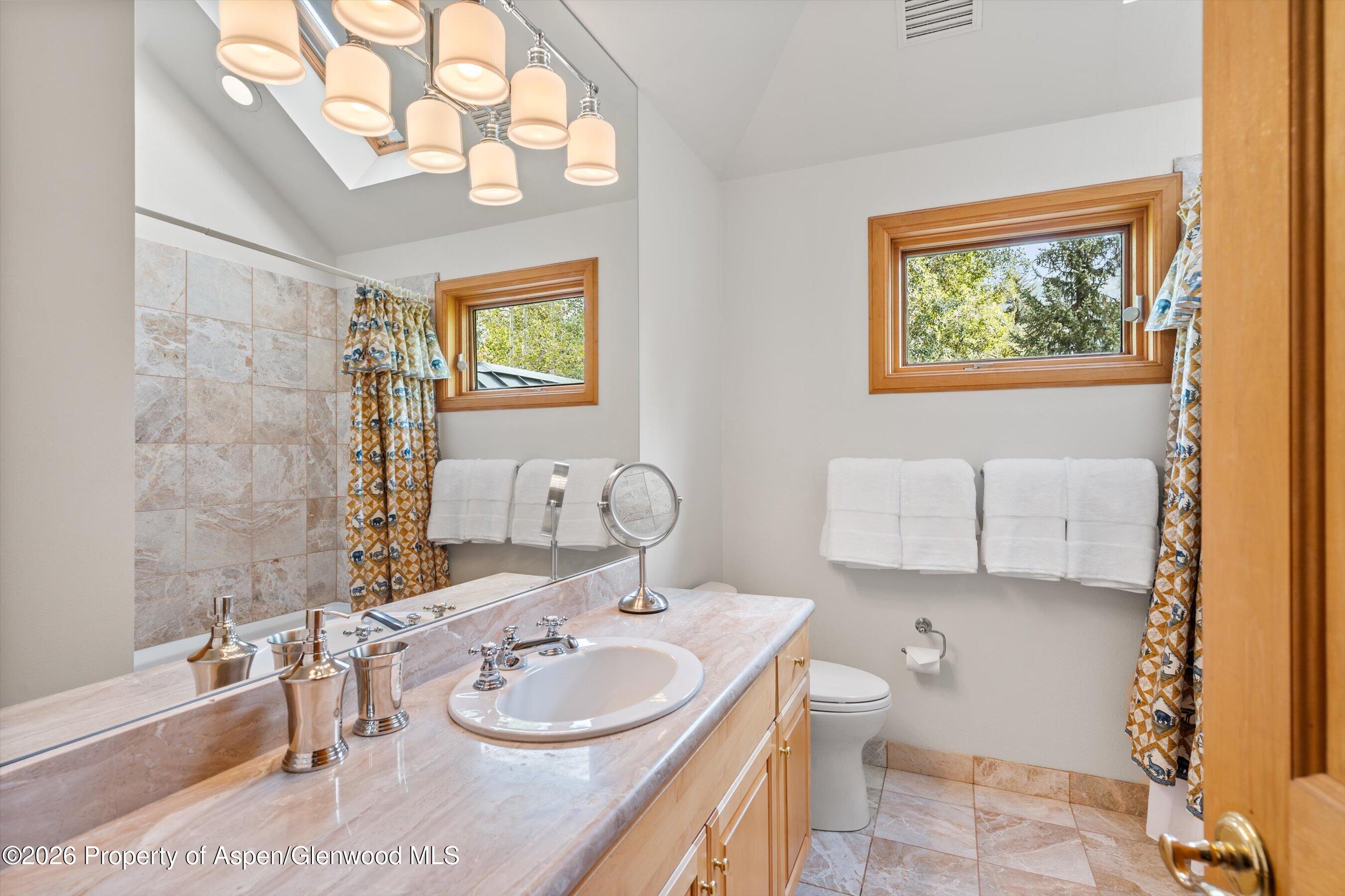 620 W Hallam Street Aspen CO 81611
