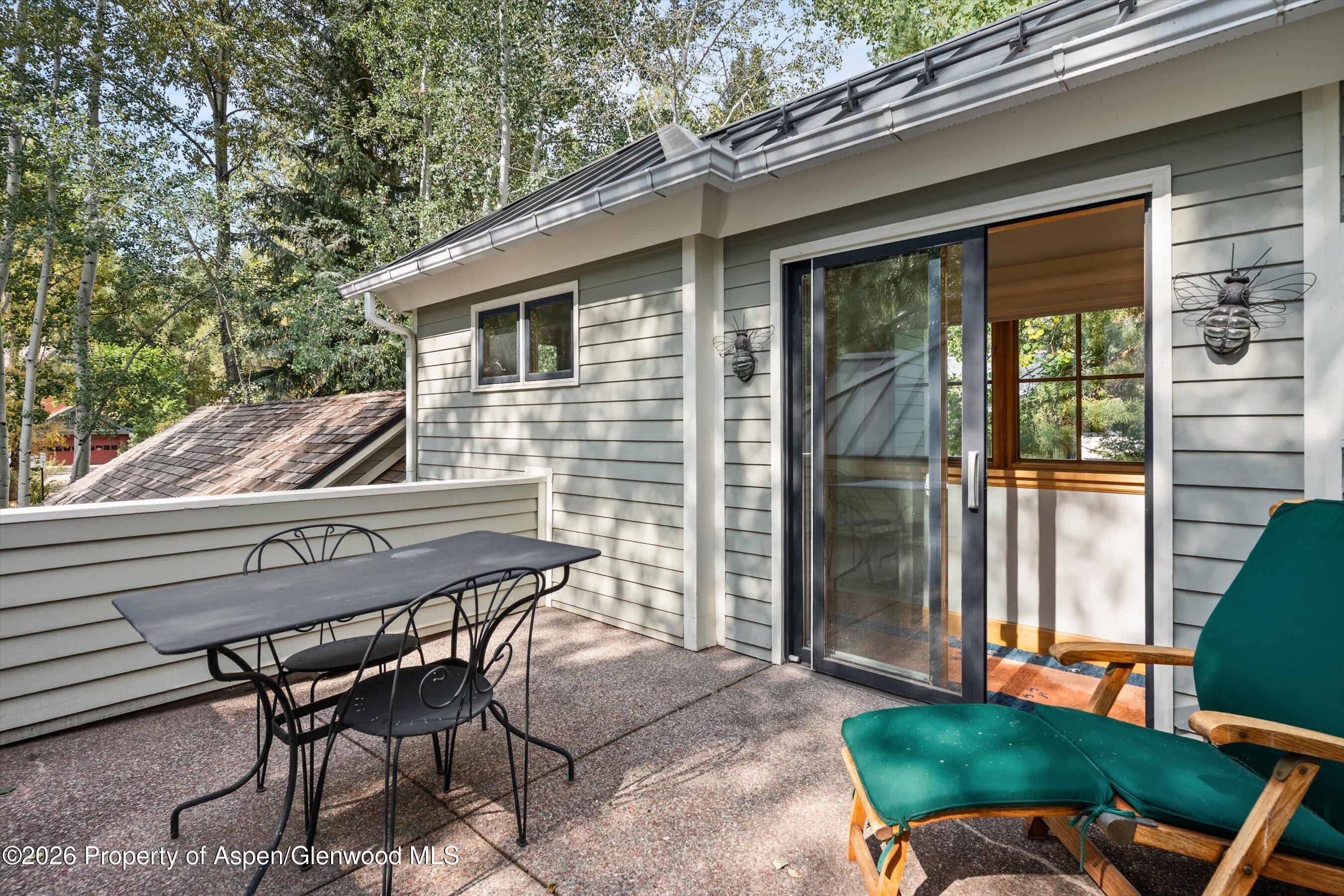 620 W Hallam Street Aspen CO 81611