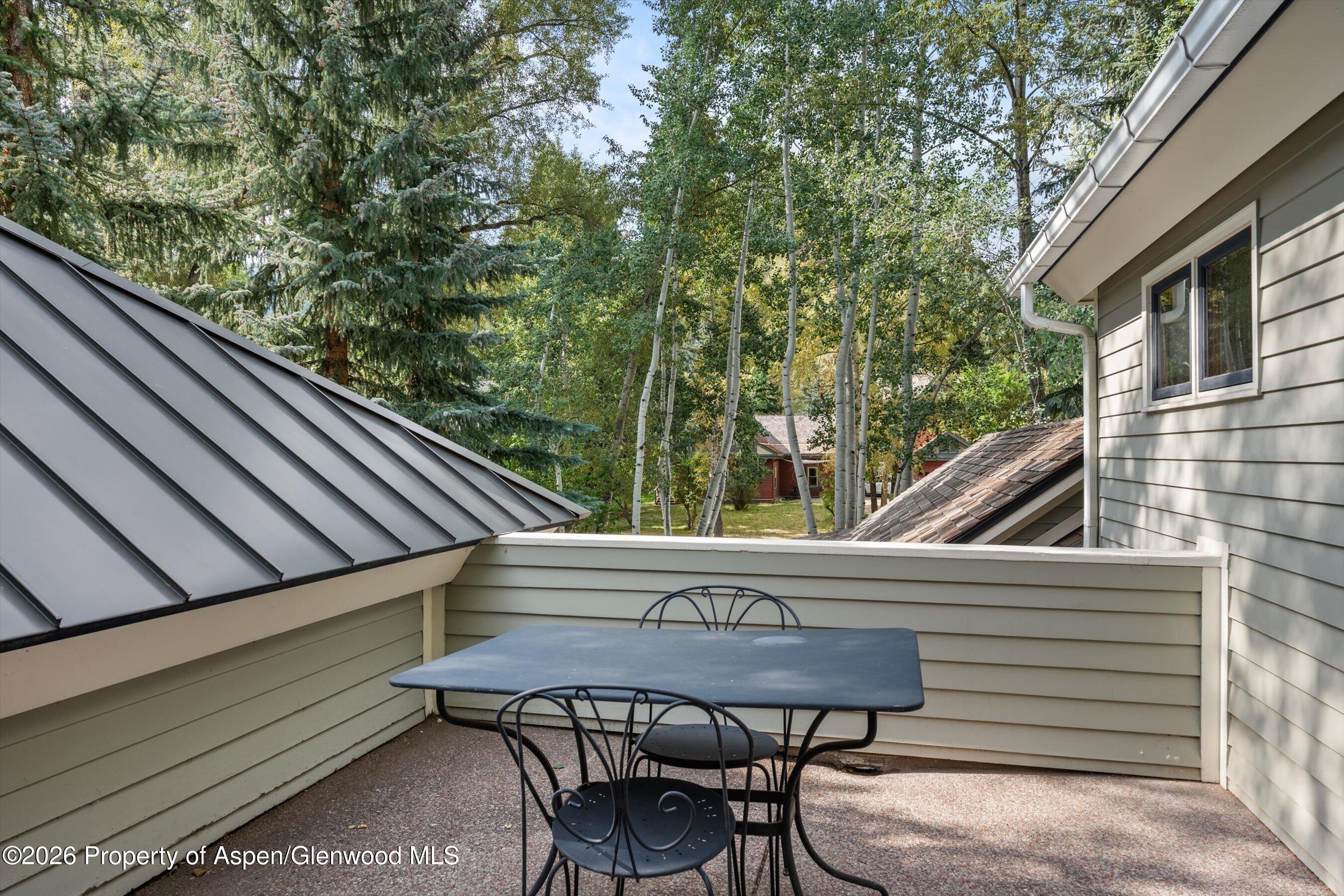 620 W Hallam Street Aspen CO 81611