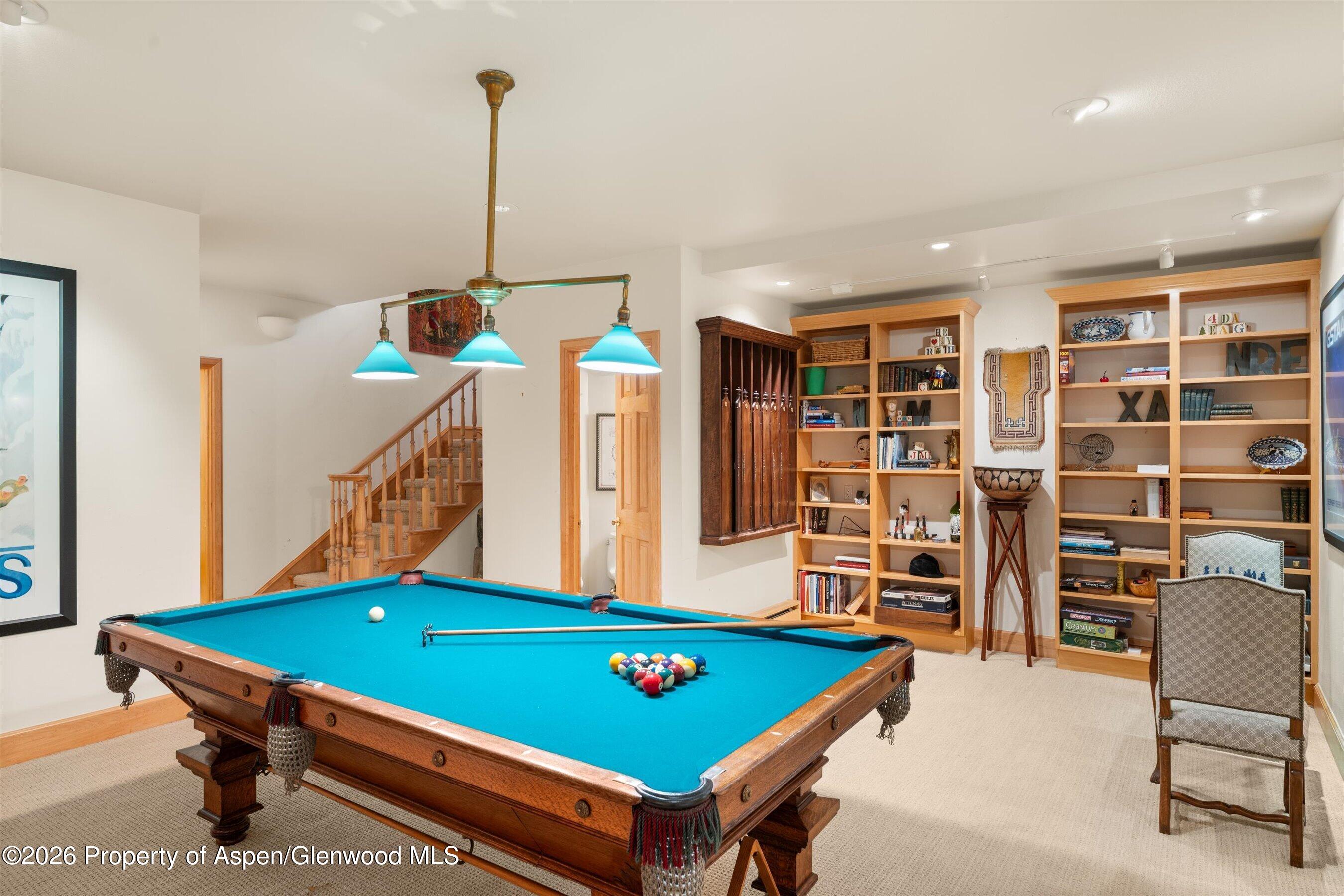 620 W Hallam Street Aspen CO 81611