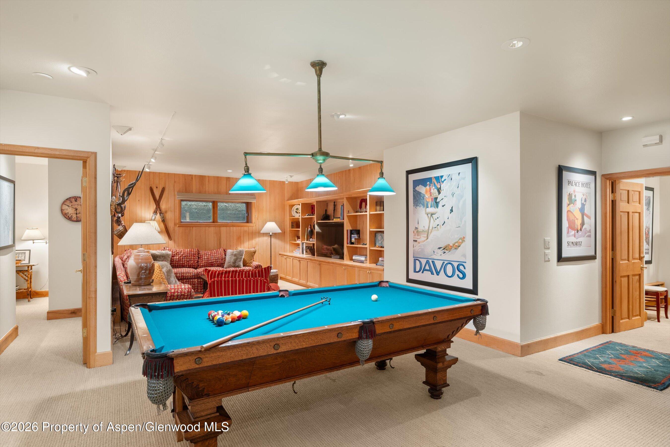 620 W Hallam Street Aspen CO 81611