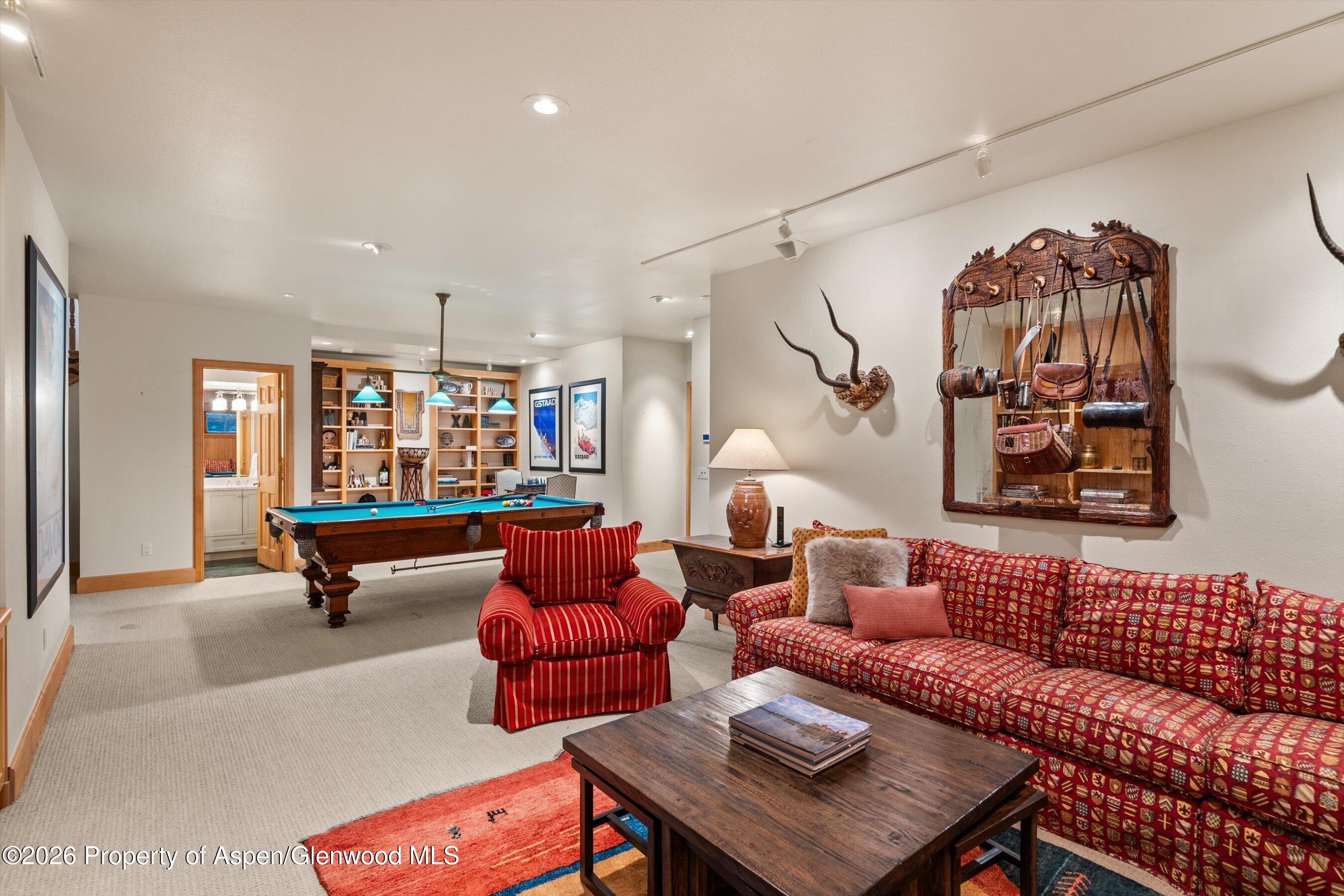 620 W Hallam Street Aspen CO 81611