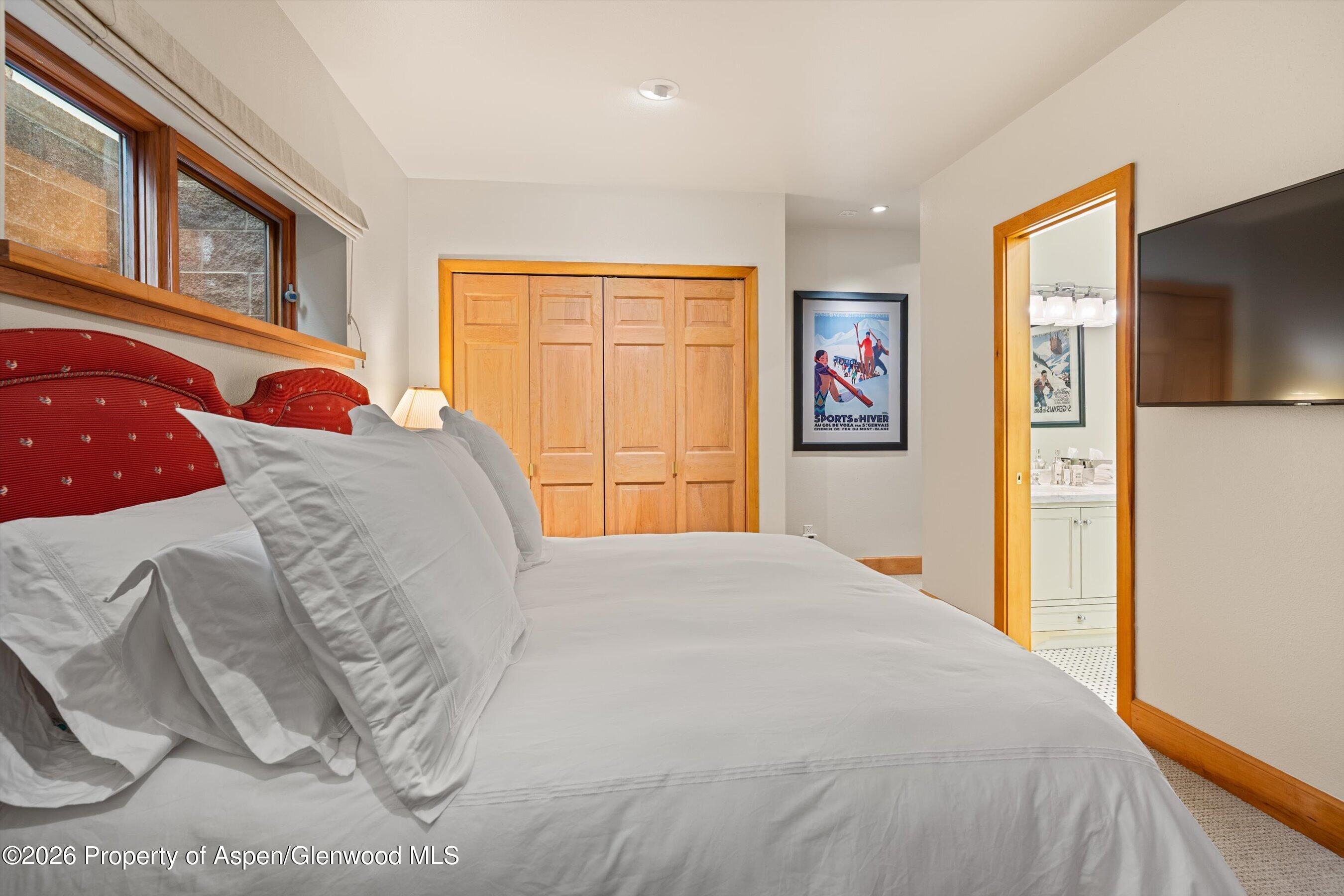 620 W Hallam Street Aspen CO 81611