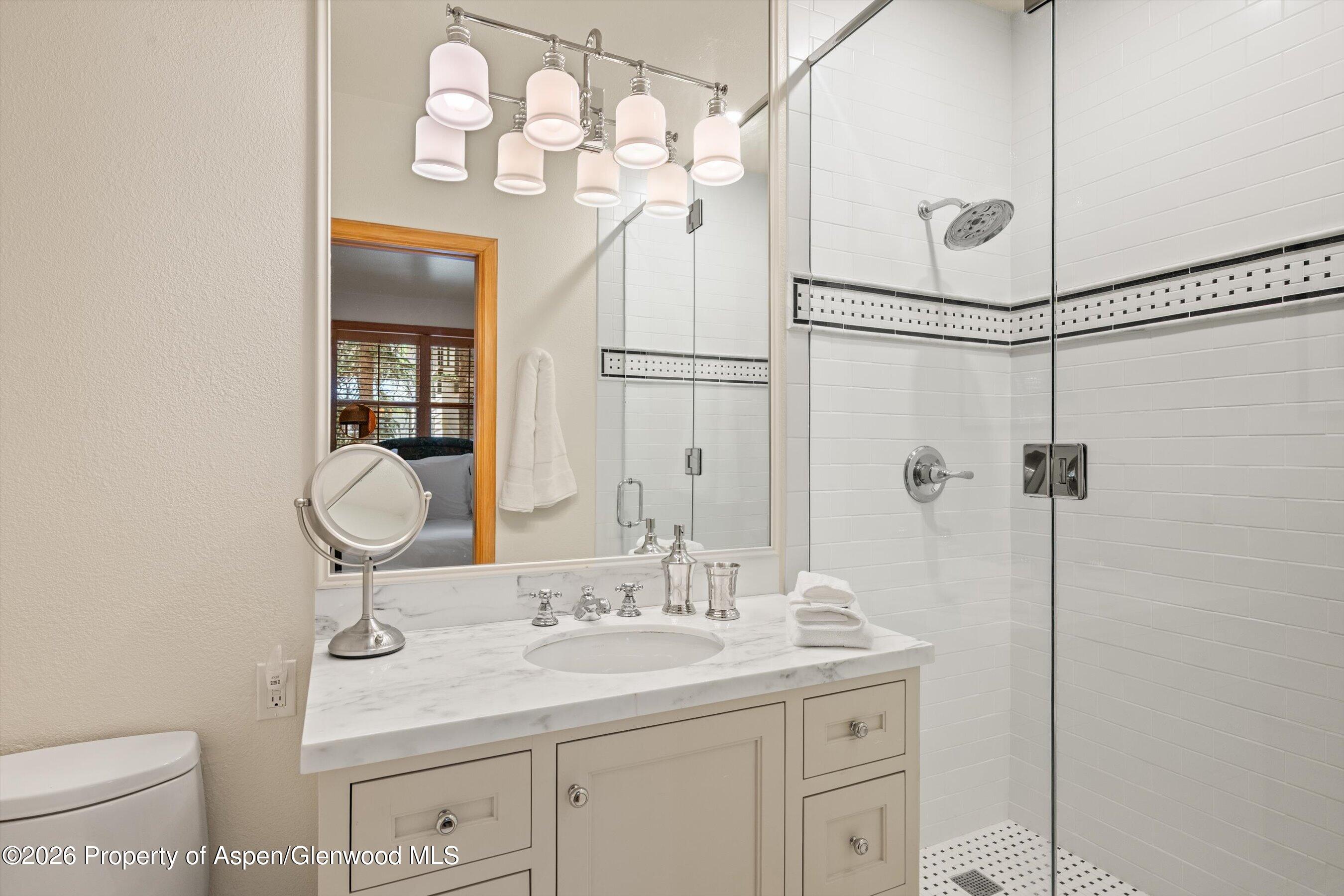 620 W Hallam Street Aspen CO 81611