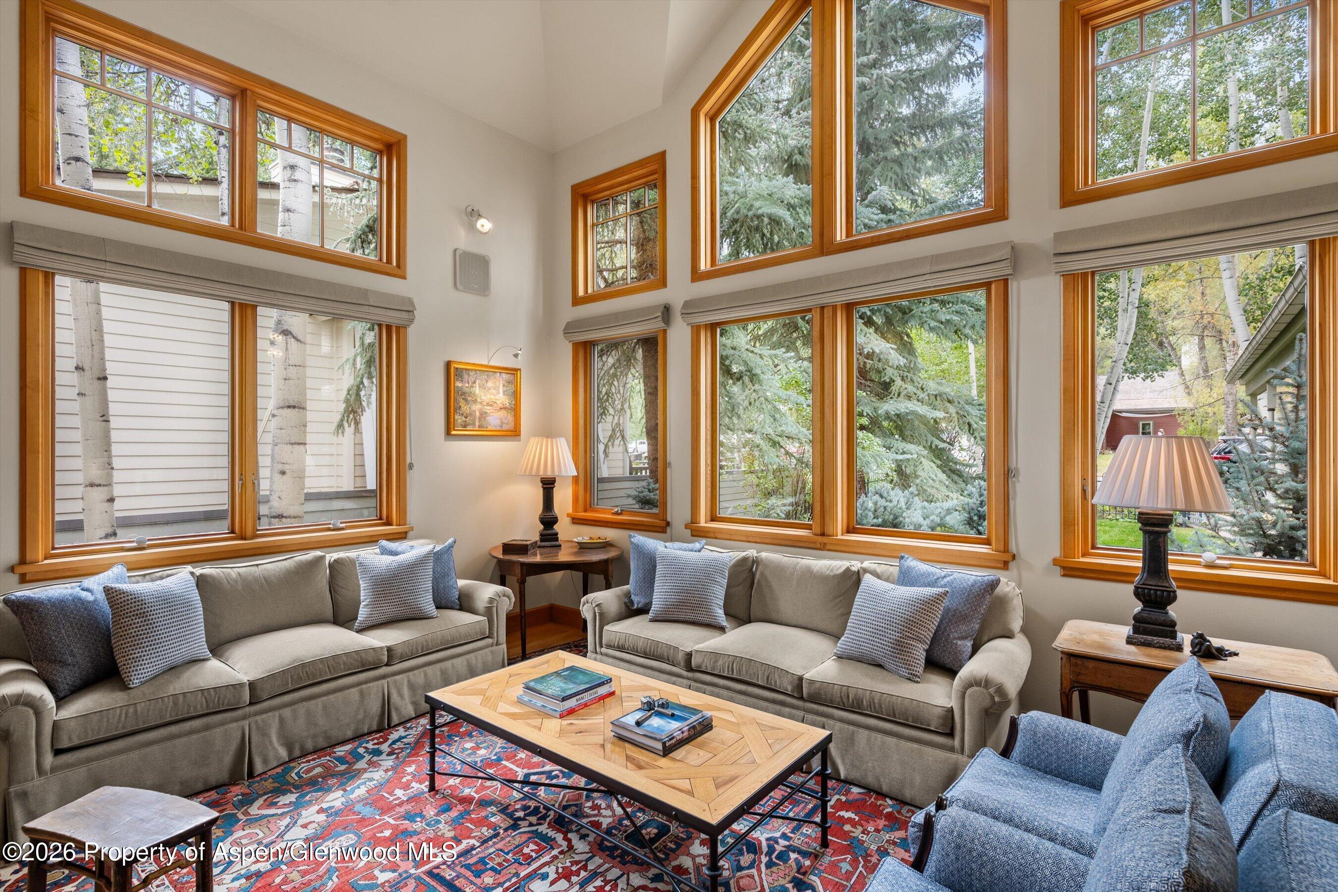 620 W Hallam Street Aspen CO 81611