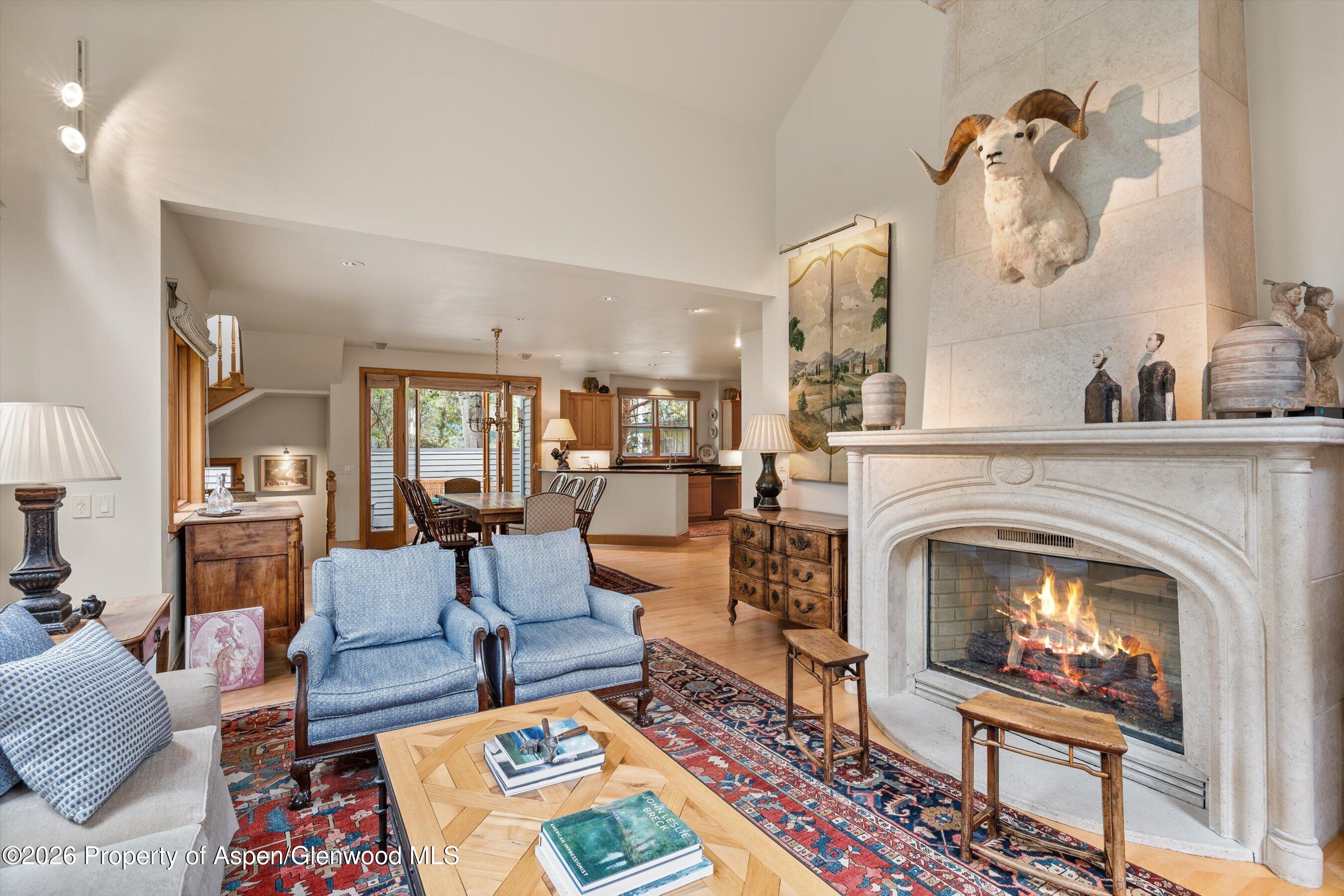 620 W Hallam Street Aspen CO 81611