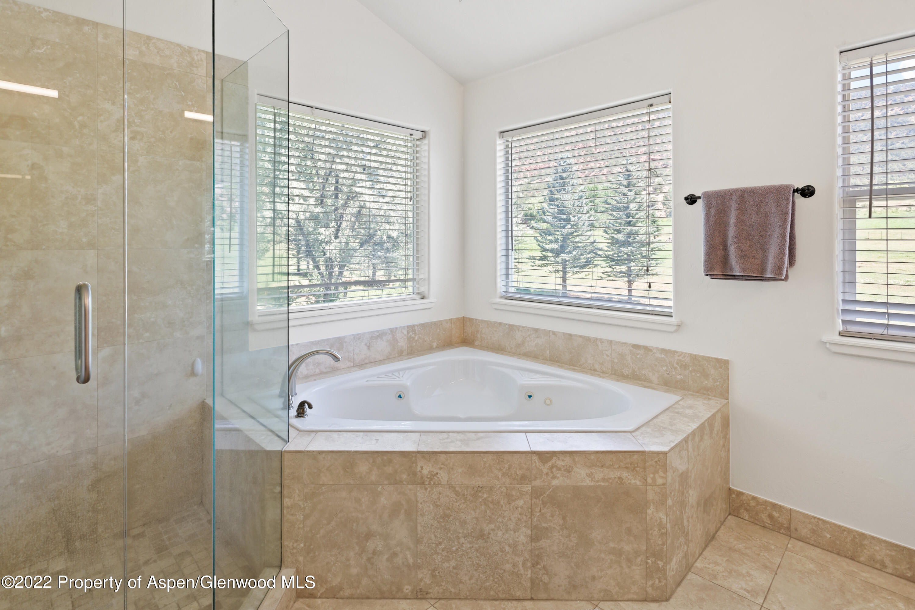 965 Lupine Circle Basalt CO 81621