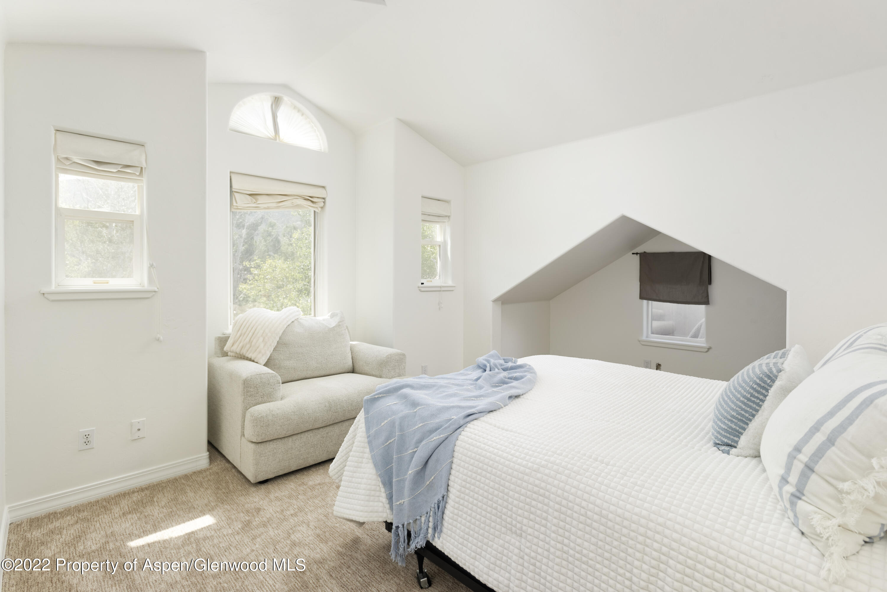 965 Lupine Circle Basalt CO 81621