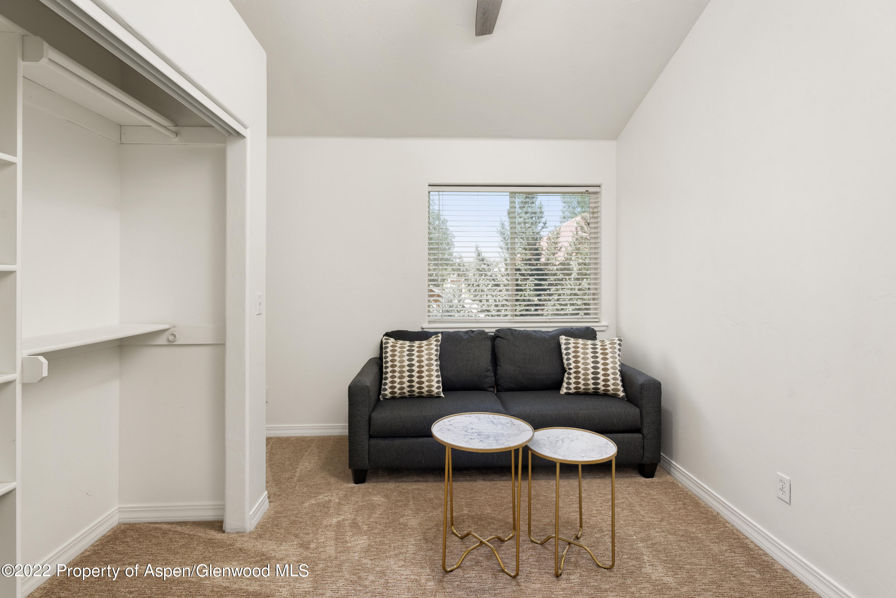 965 Lupine Circle Basalt CO 81621