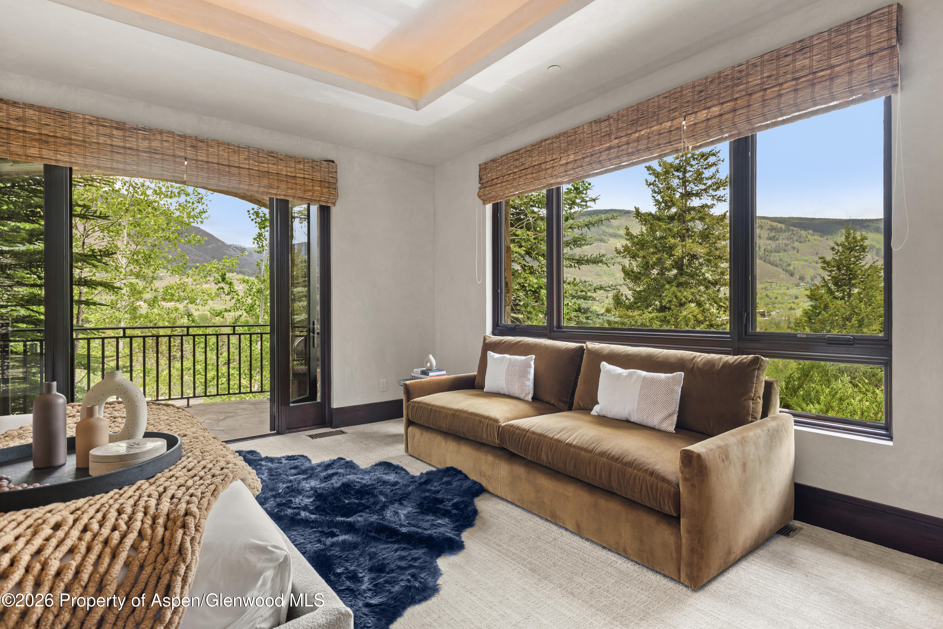 24 Little Cloud Trail Aspen CO 81611