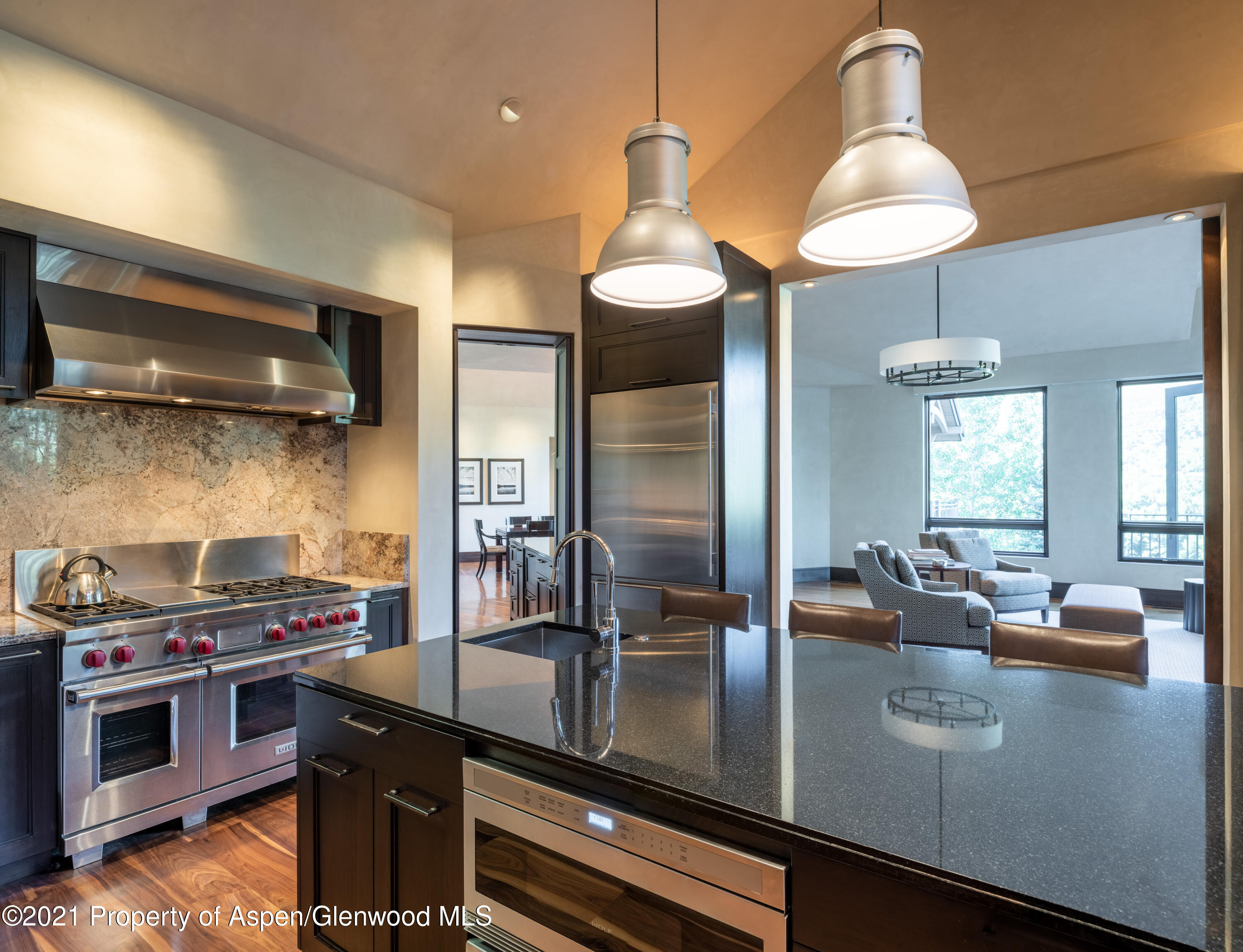 24 Little Cloud Trail Aspen CO 81611