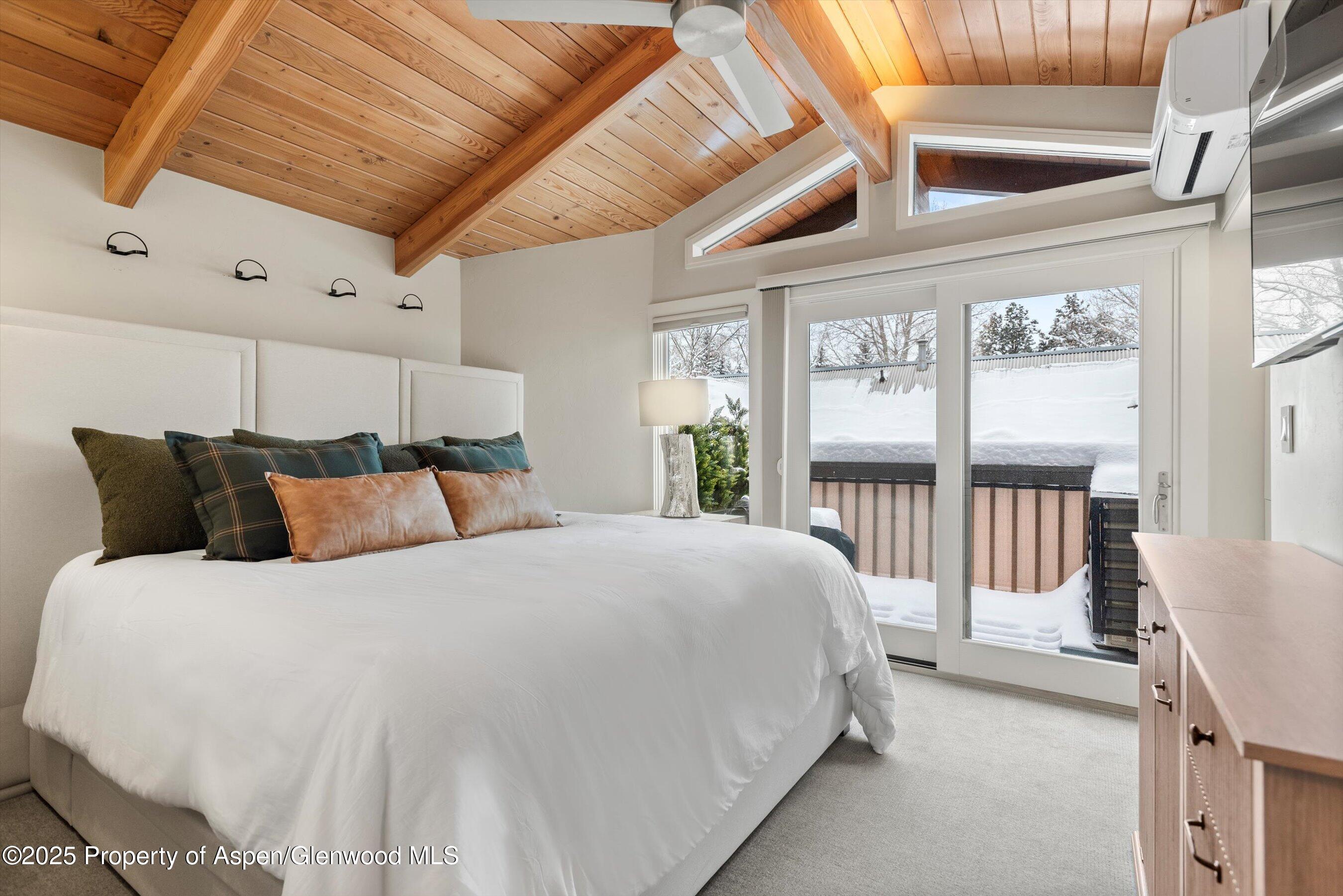 720 W Hopkins Avenue Aspen CO 81611