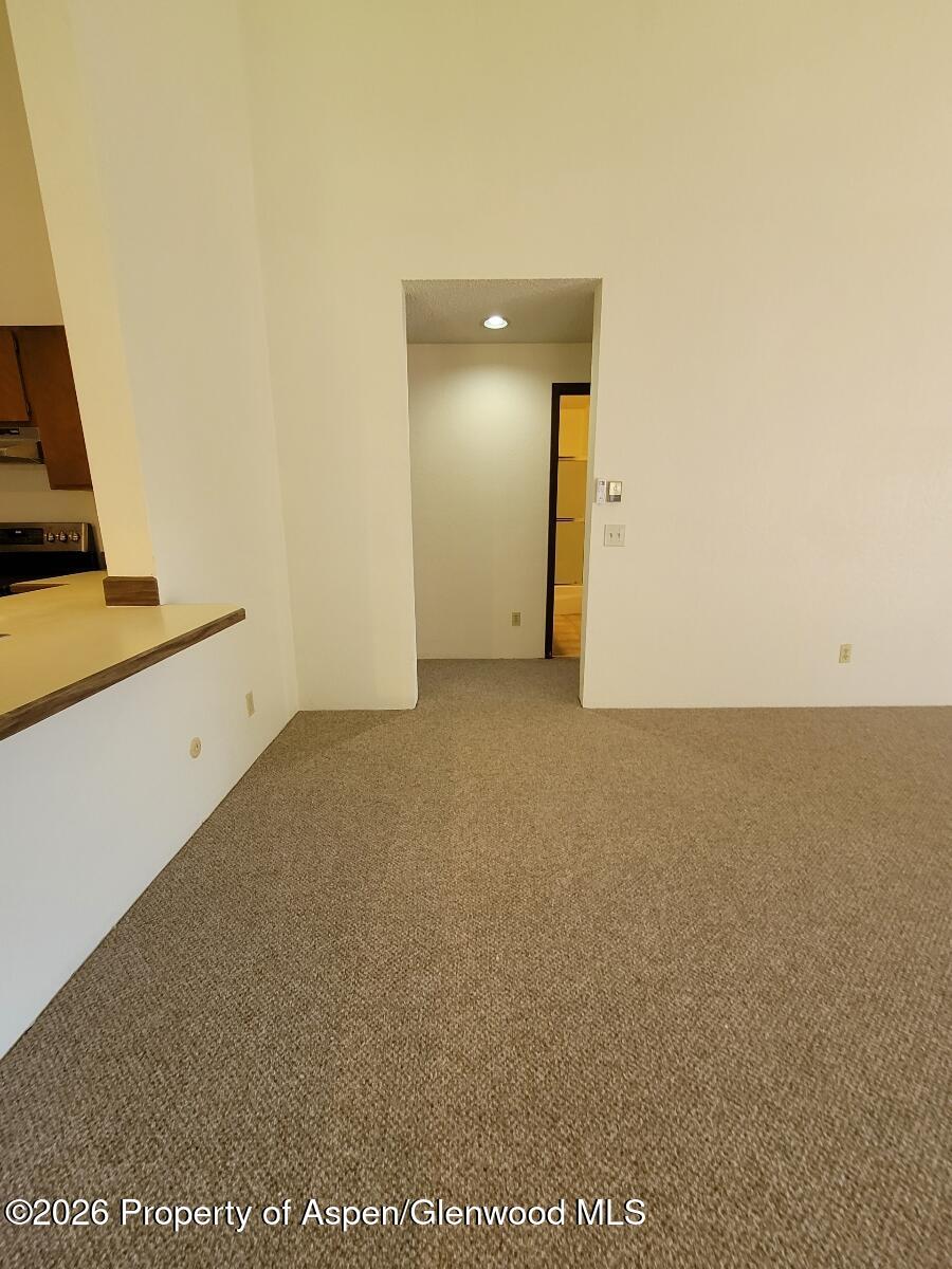 2822 Hager Lane Glenwood Springs CO 81601