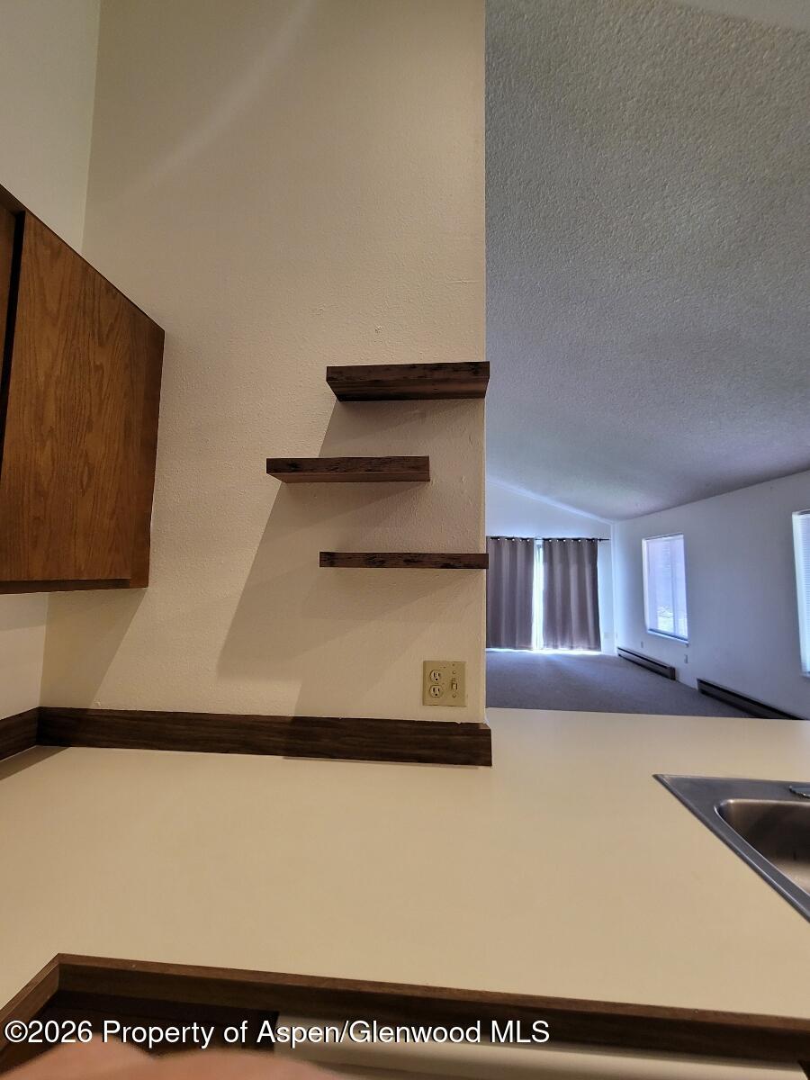 2822 Hager Lane Glenwood Springs CO 81601
