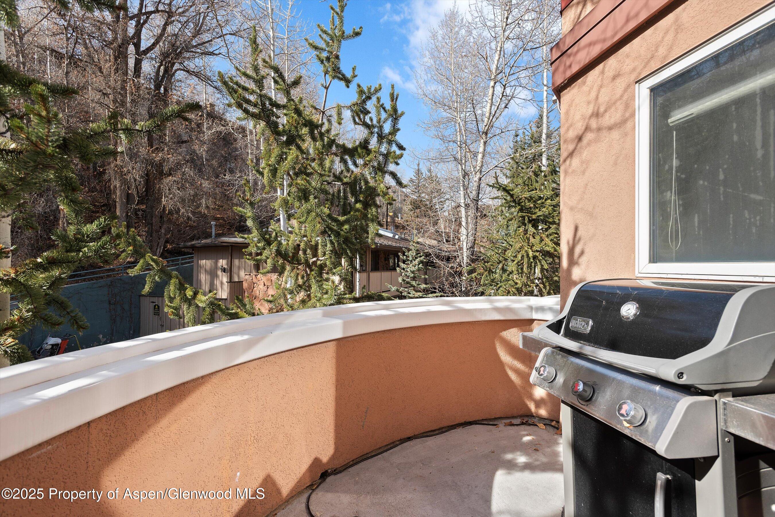 777 Ute Avenue Aspen CO 81611