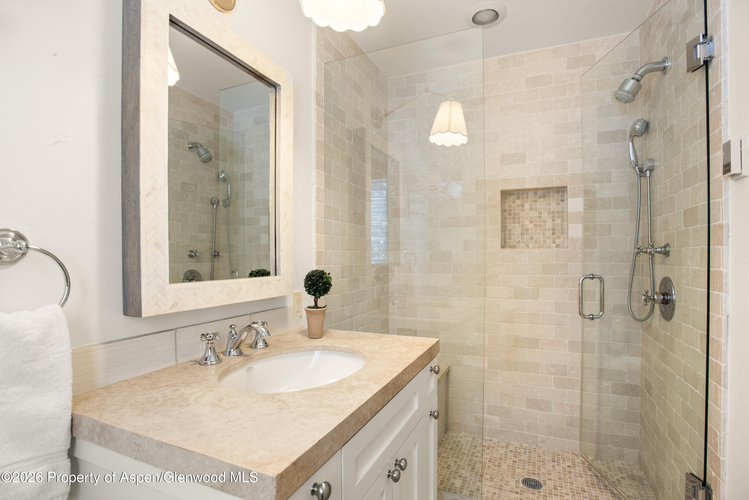 901 W Francis Street Aspen CO 81611