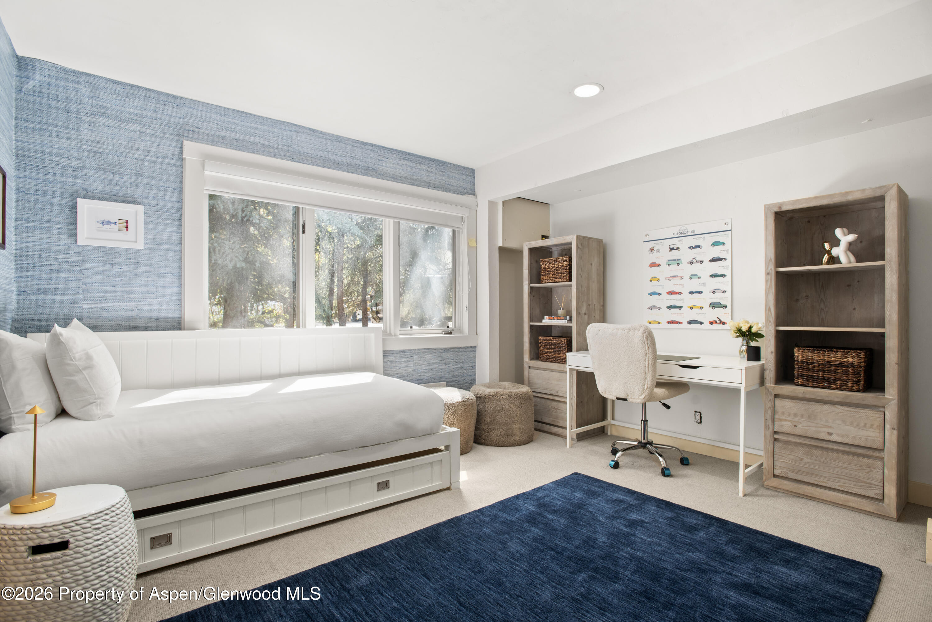 901 W Francis Street Aspen CO 81611