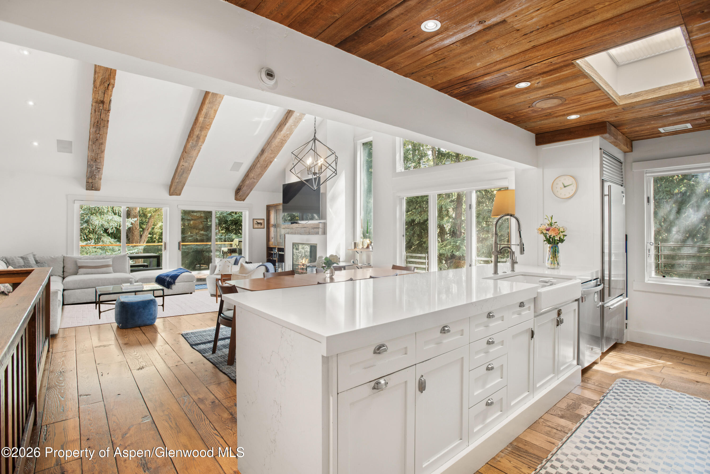 901 W Francis Street Aspen CO 81611