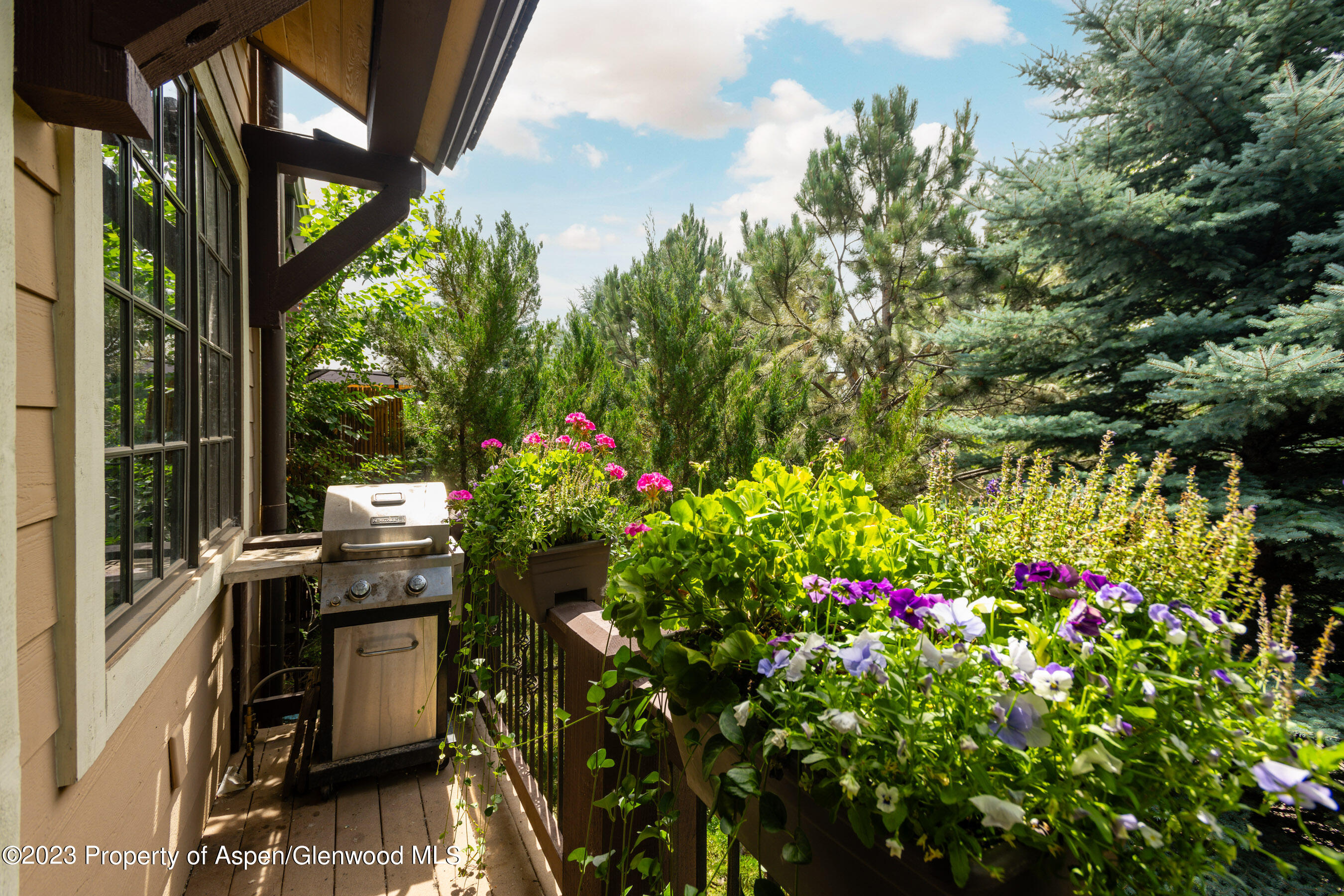 162 Juniper Trail Carbondale CO 81623