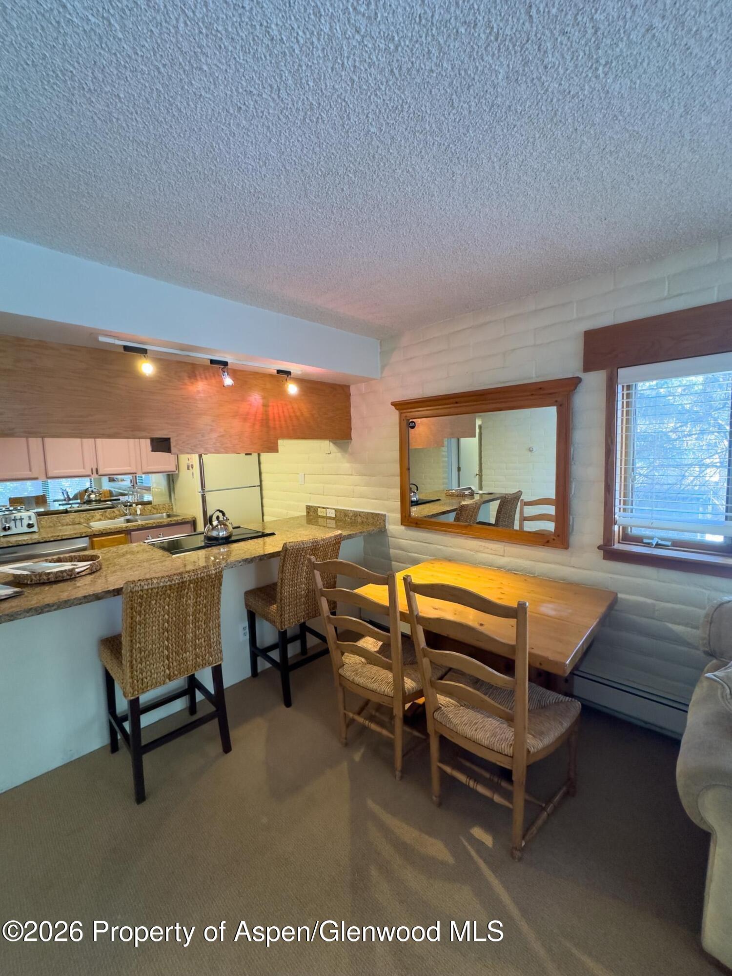212 Vine Street Aspen CO 81611