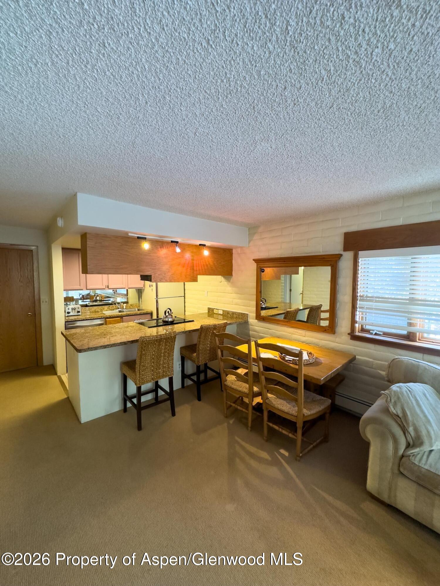 212 Vine Street Aspen CO 81611