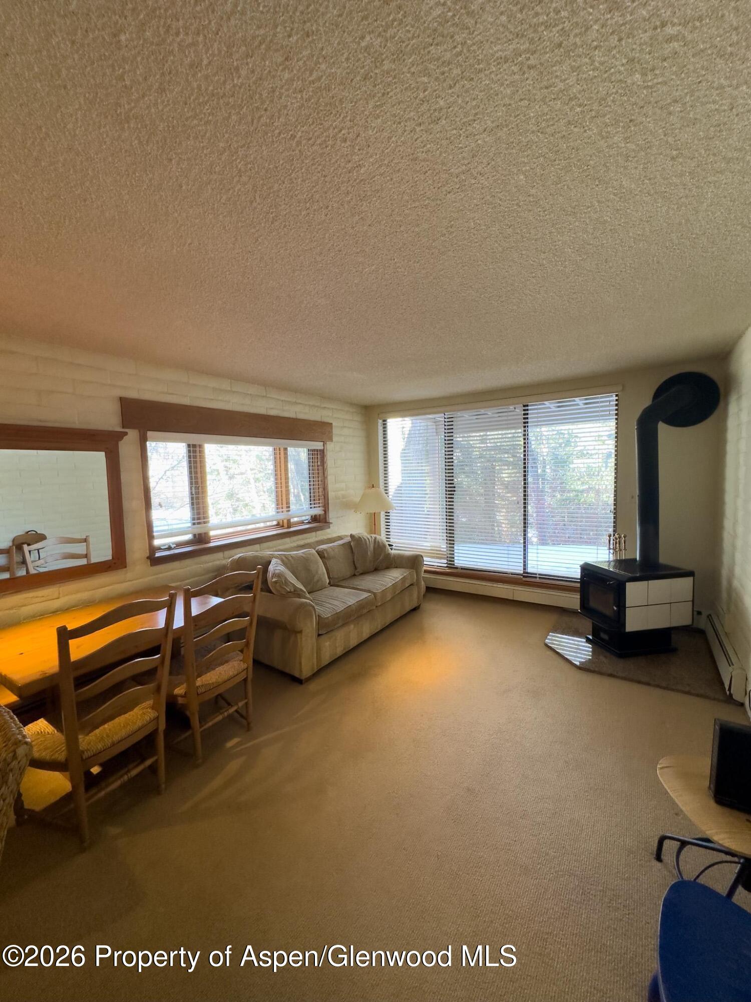 212 Vine Street Aspen CO 81611