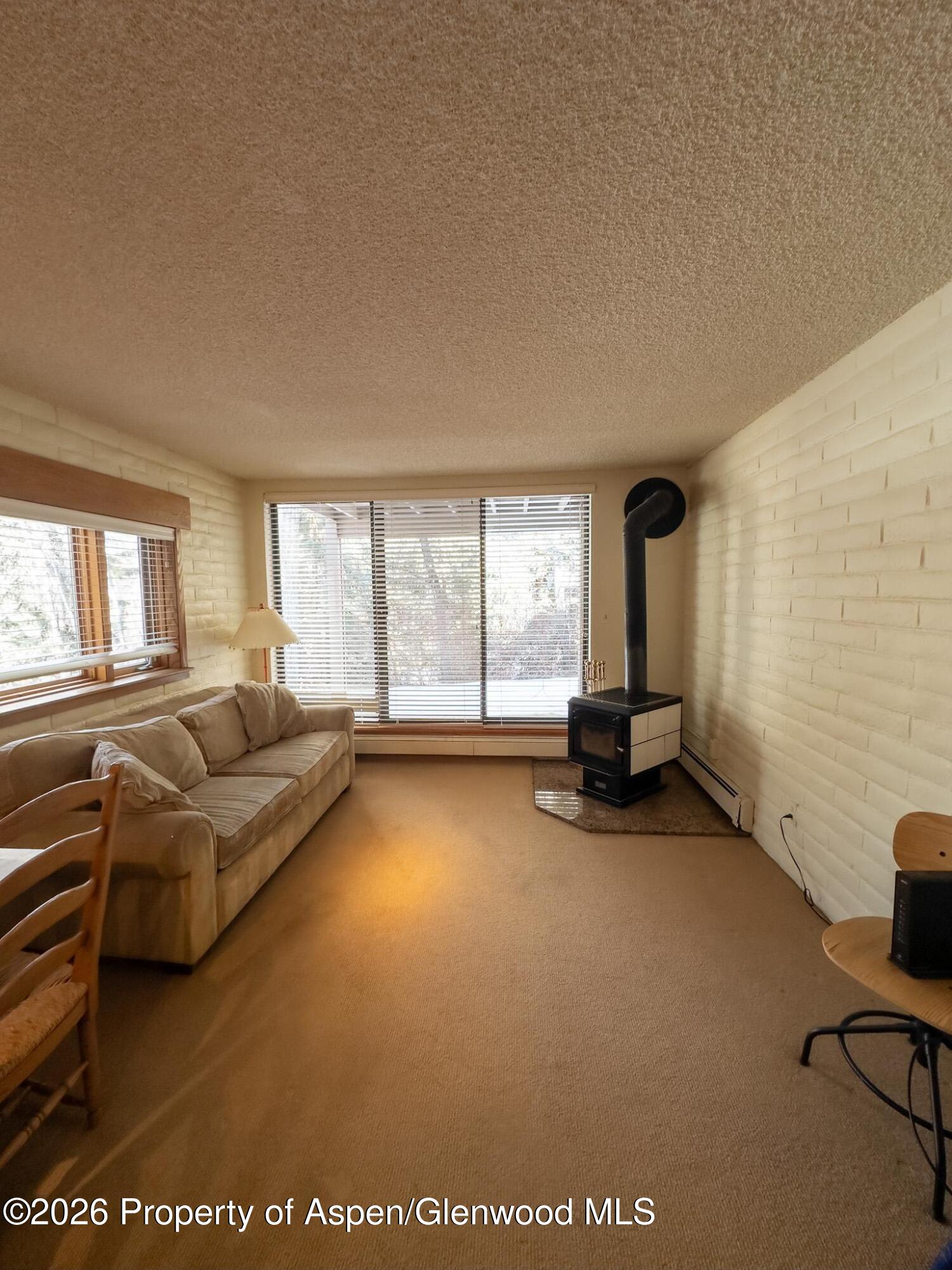 212 Vine Street Aspen CO 81611