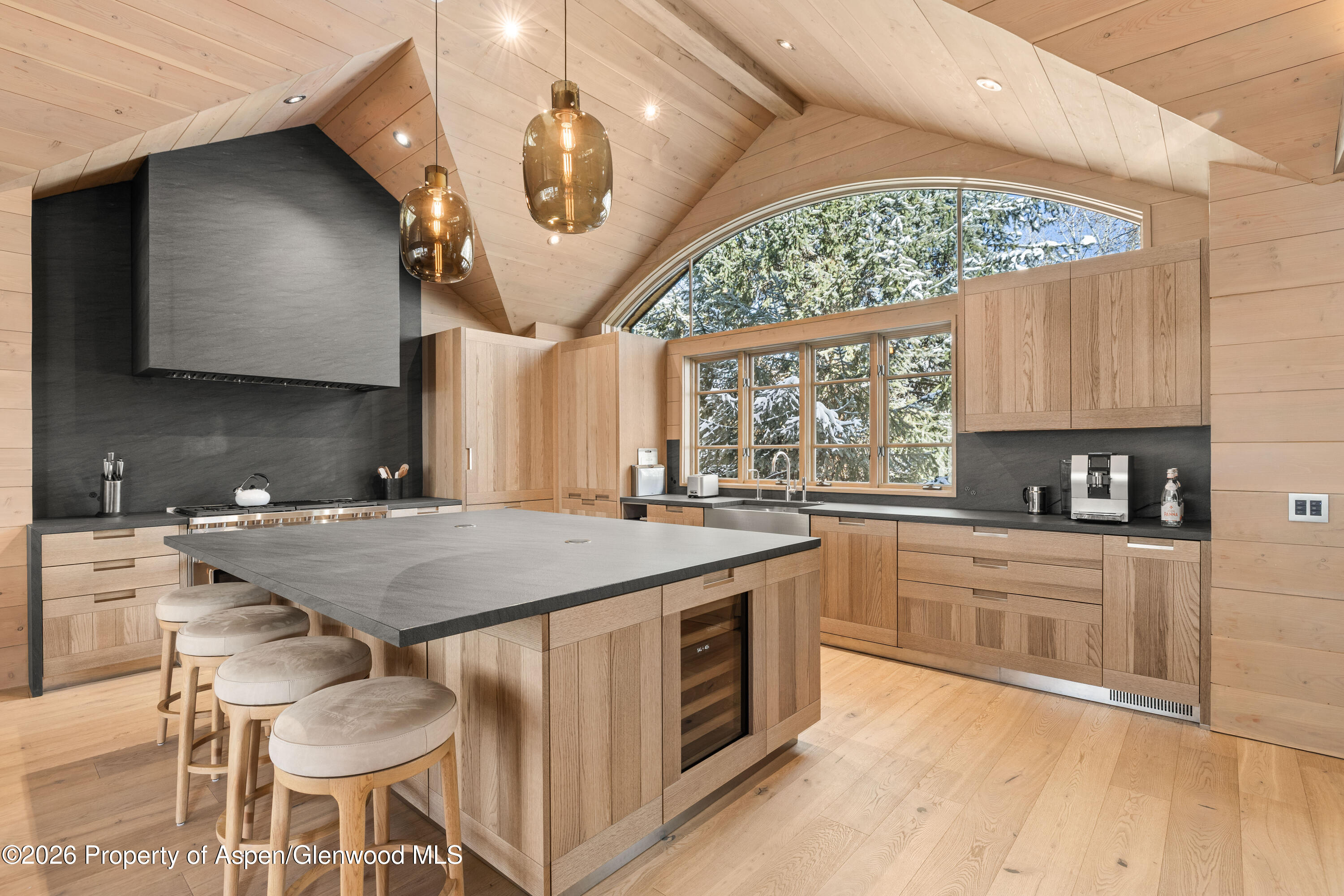 821 E Cooper Avenue Aspen CO 81611