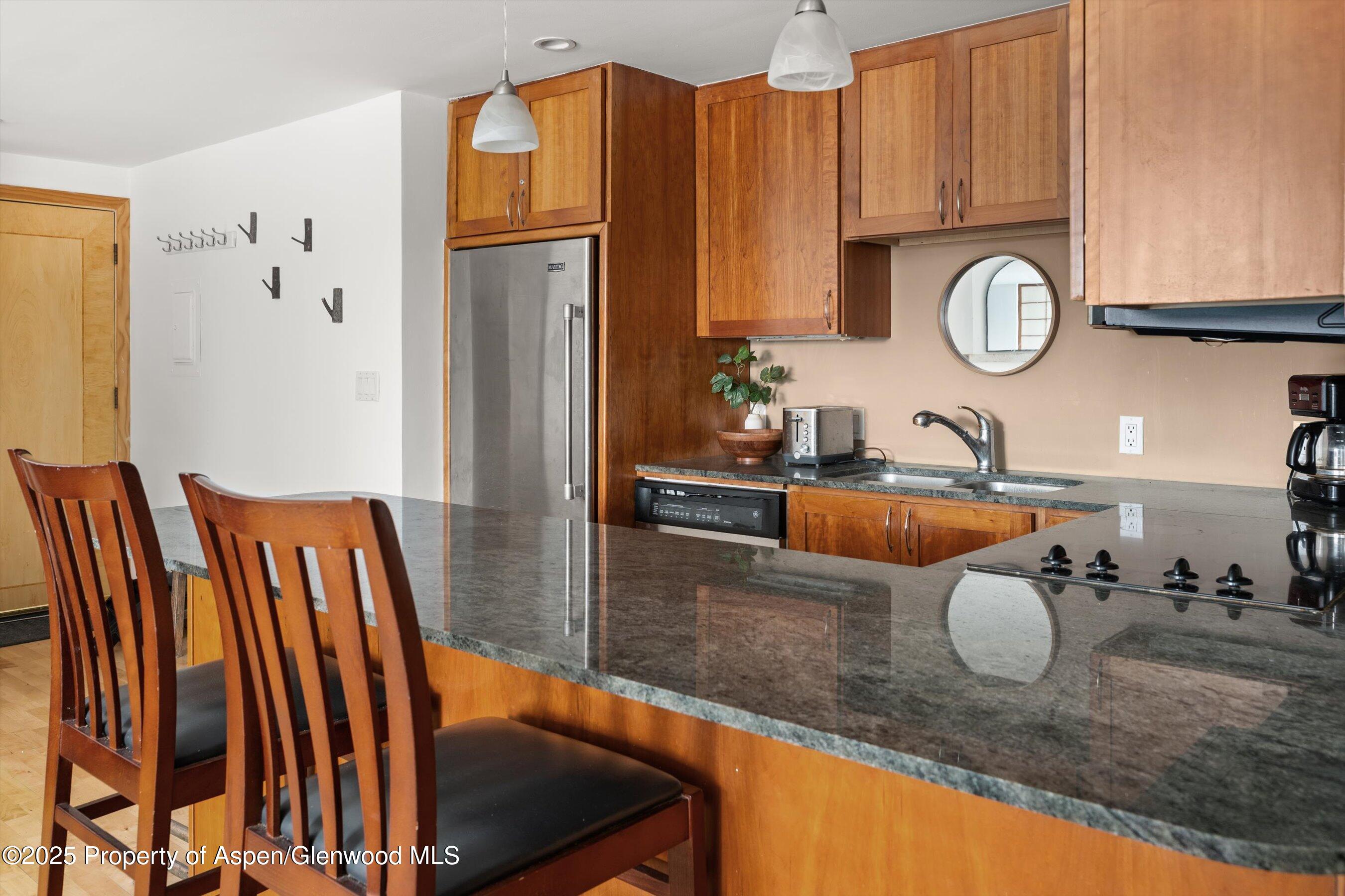 935 E Hopkins Avenue Aspen CO 81611