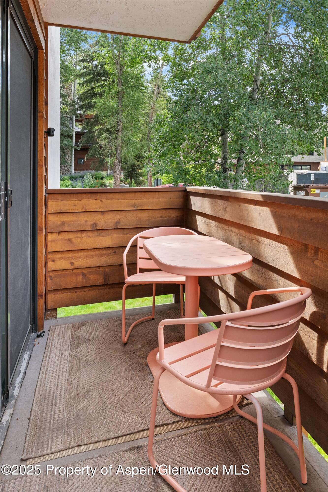 935 E Hopkins Avenue Aspen CO 81611