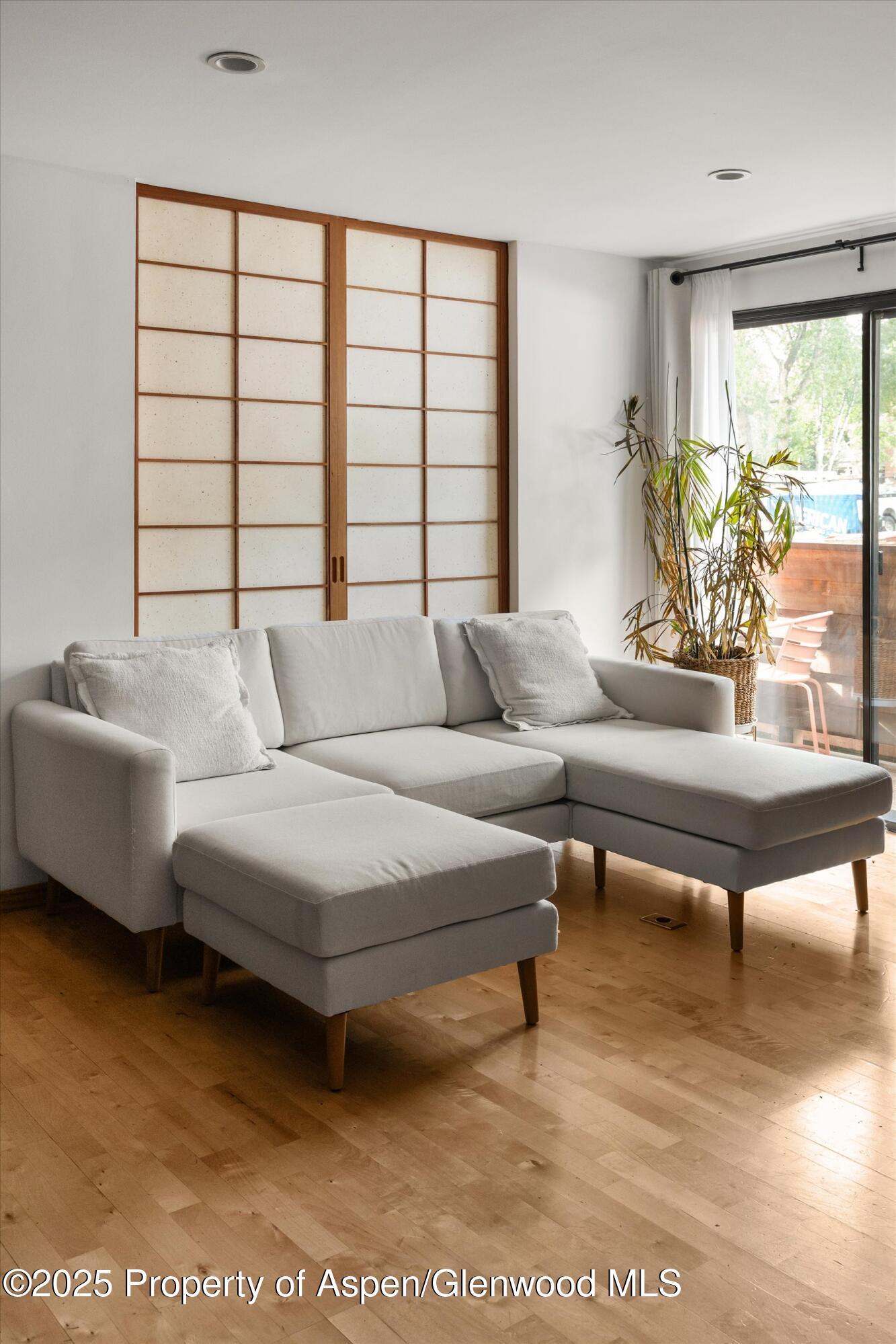 935 E Hopkins Avenue Aspen CO 81611