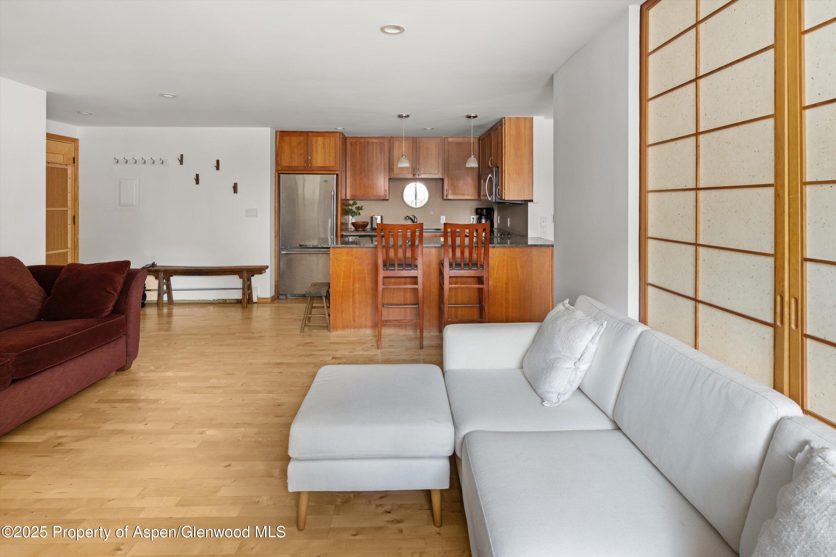 935 E Hopkins Avenue Aspen CO 81611