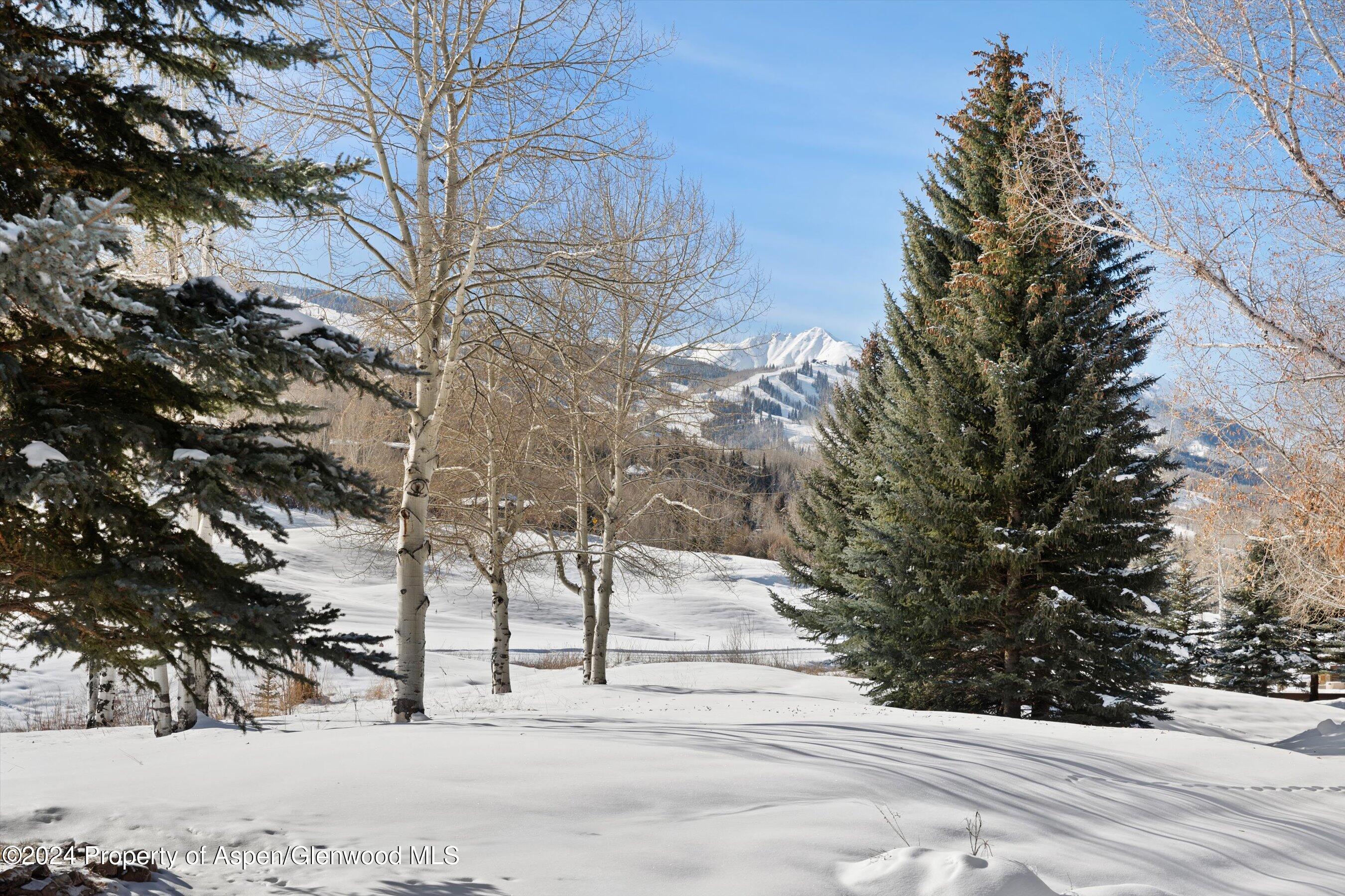 366 Snowmass Club Circle Snowmass Village CO 81615