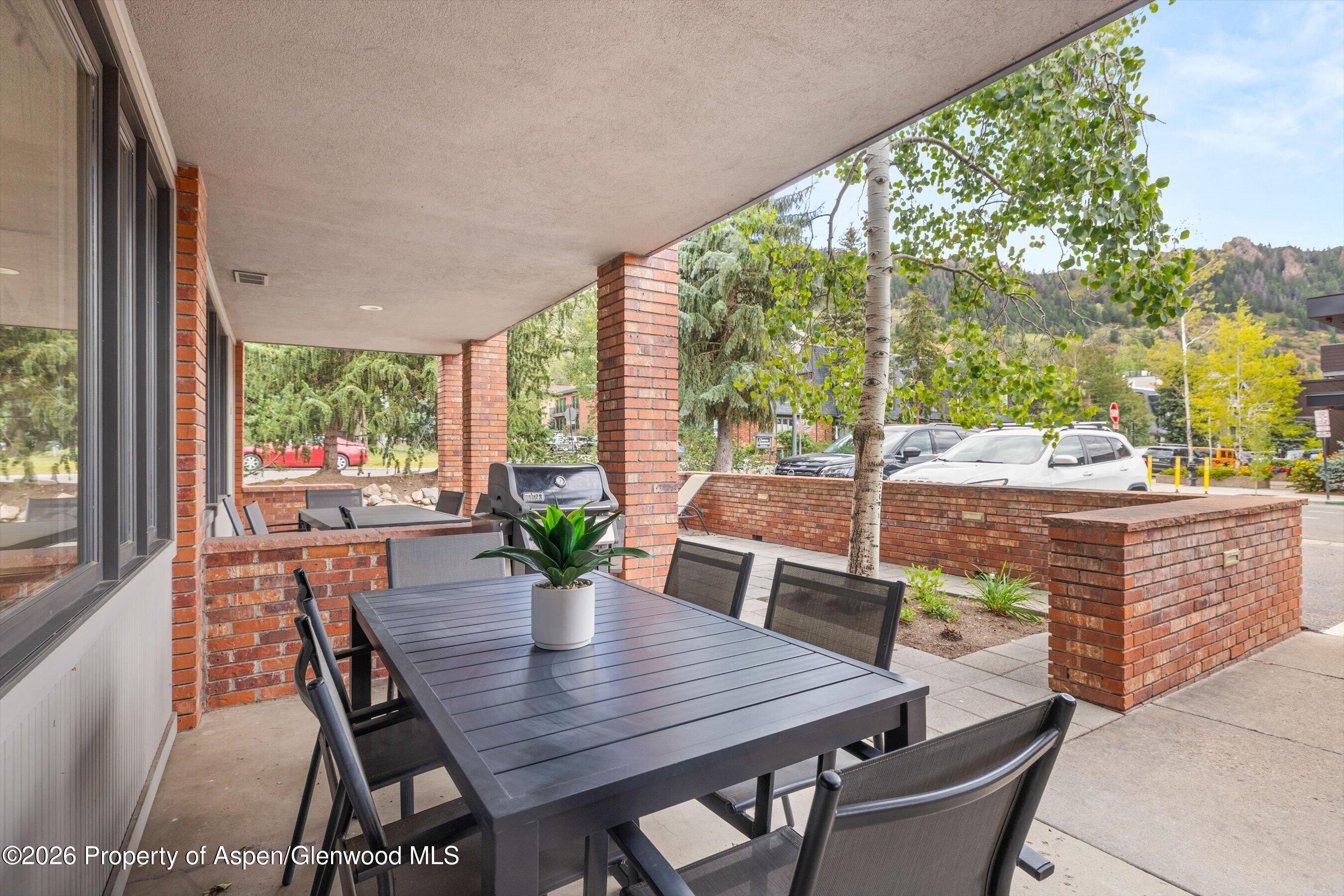 450 S Original Street Aspen CO 81611