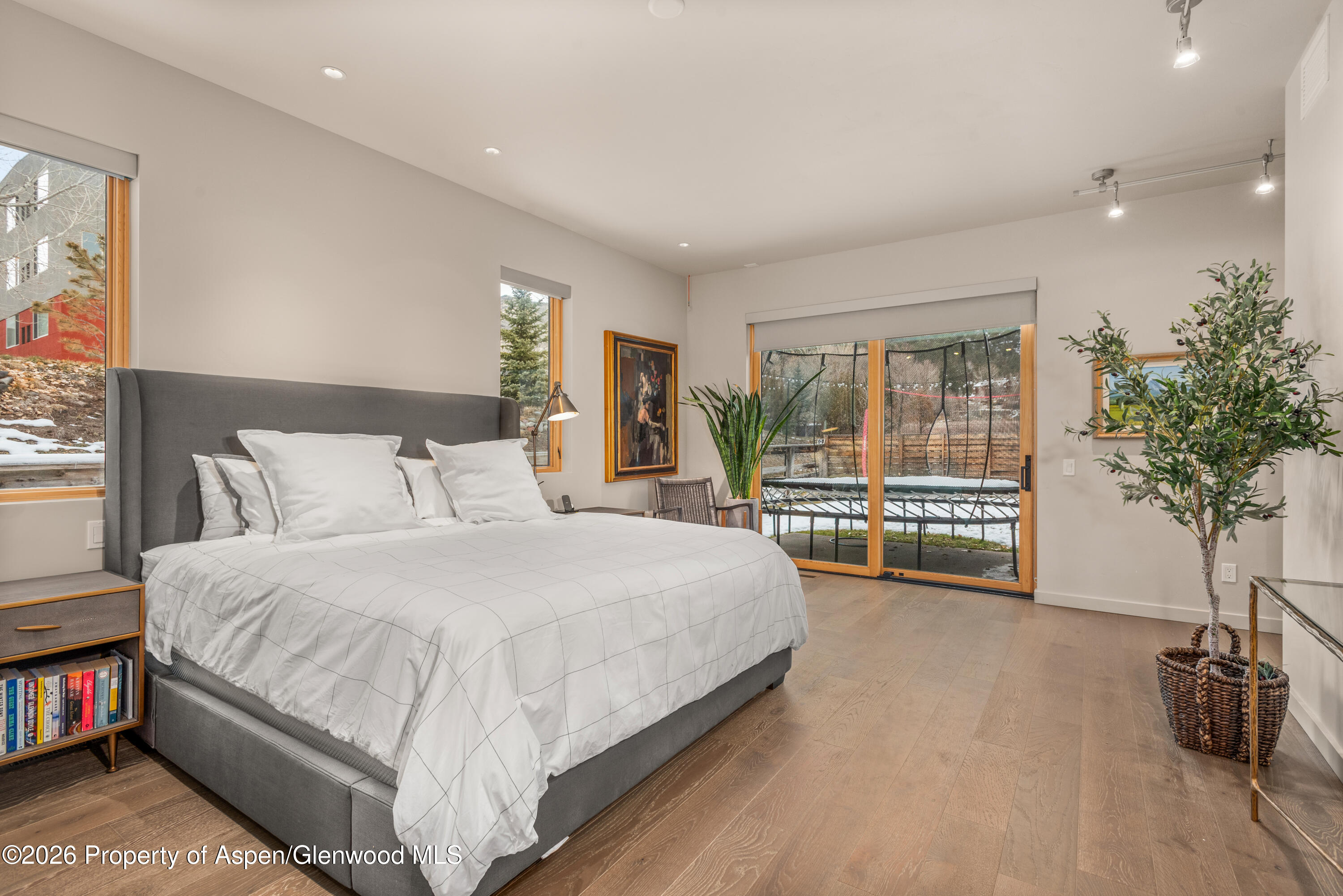 113 Valley Court Basalt CO 81621