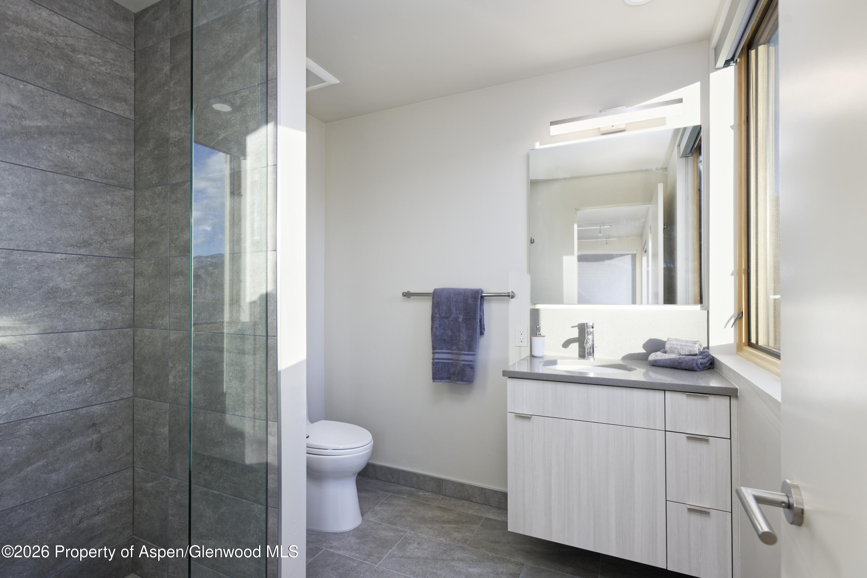 113 Valley Court Basalt CO 81621