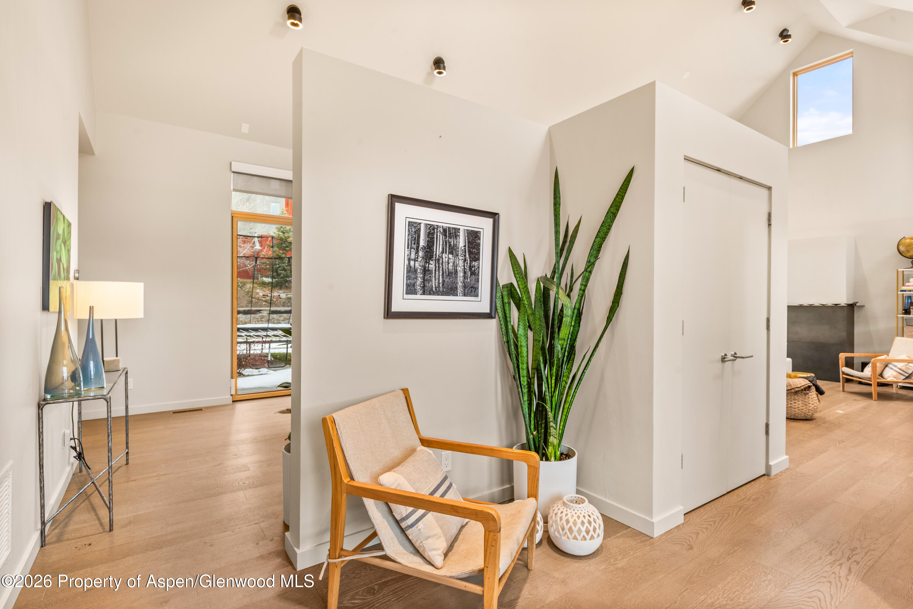 113 Valley Court Basalt CO 81621