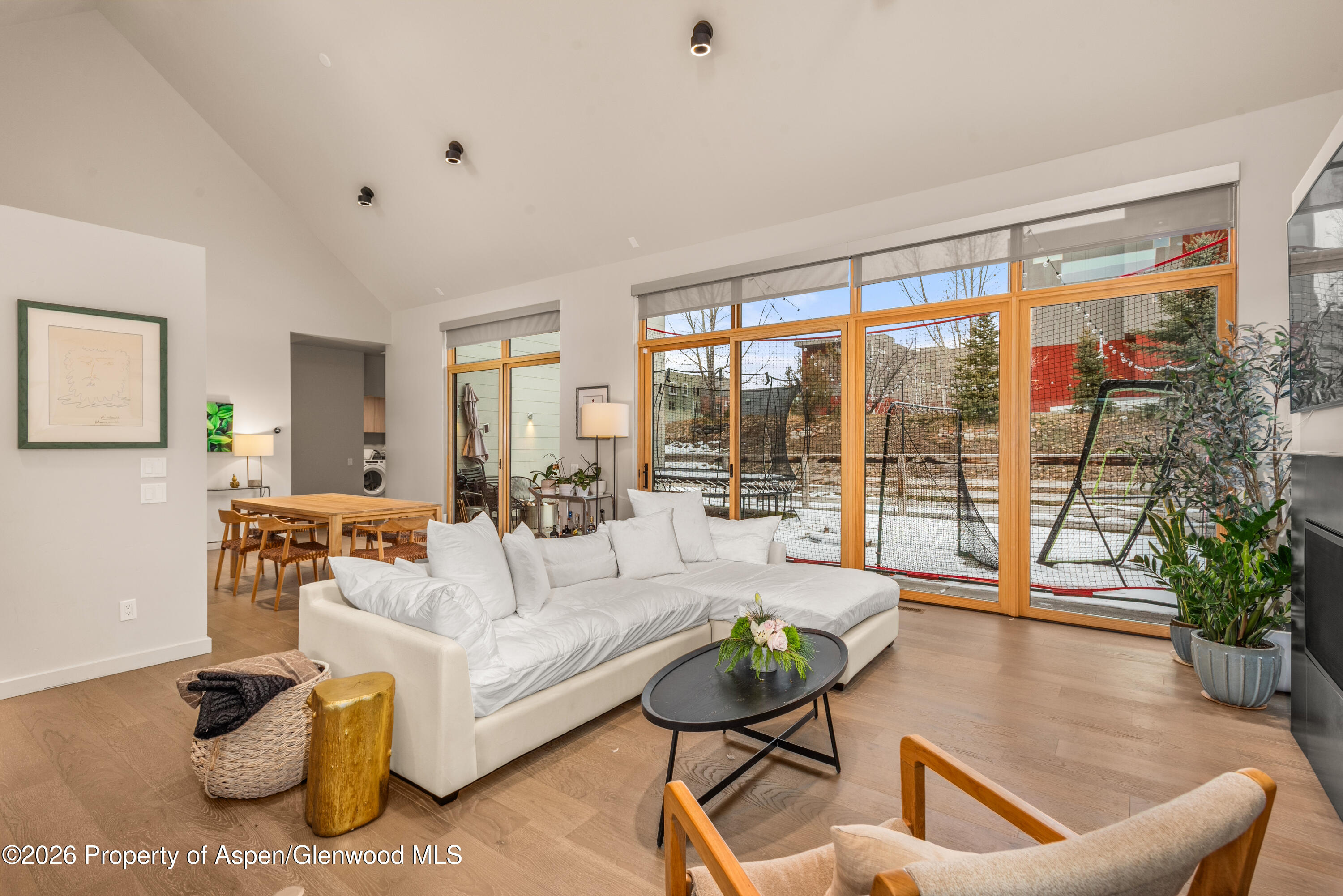 113 Valley Court Basalt CO 81621