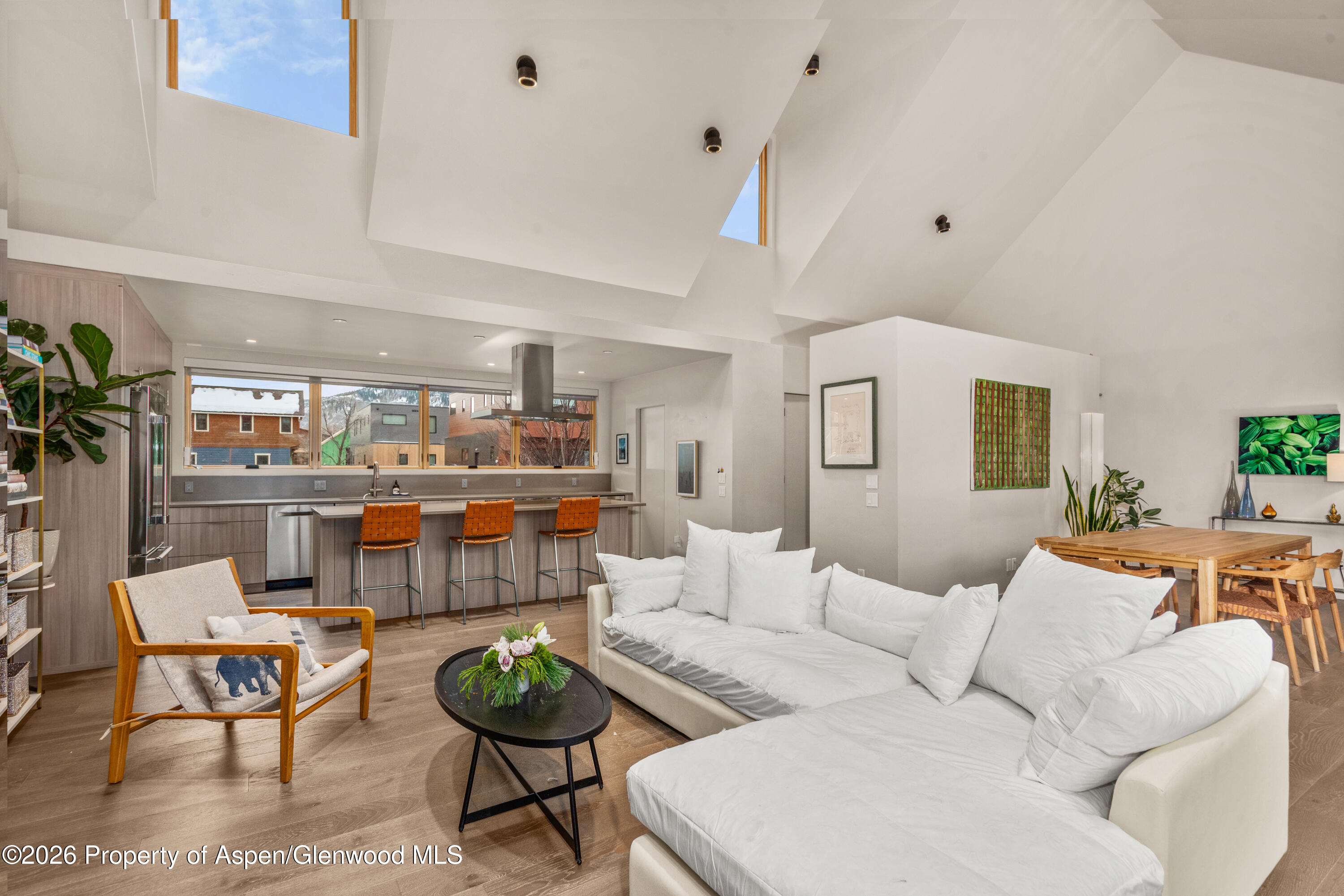 113 Valley Court Basalt CO 81621