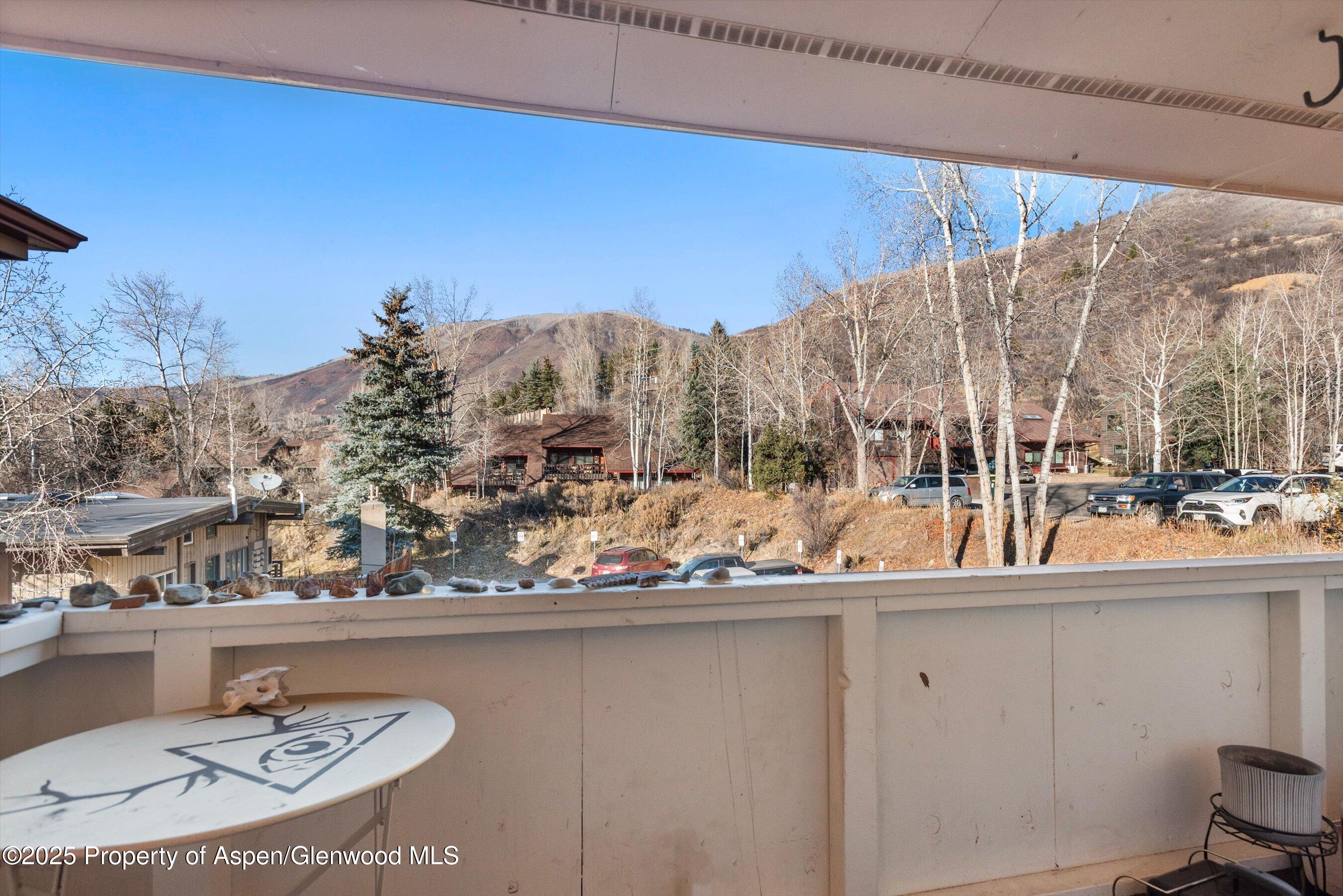 326 Midland Avenue Aspen CO 81611
