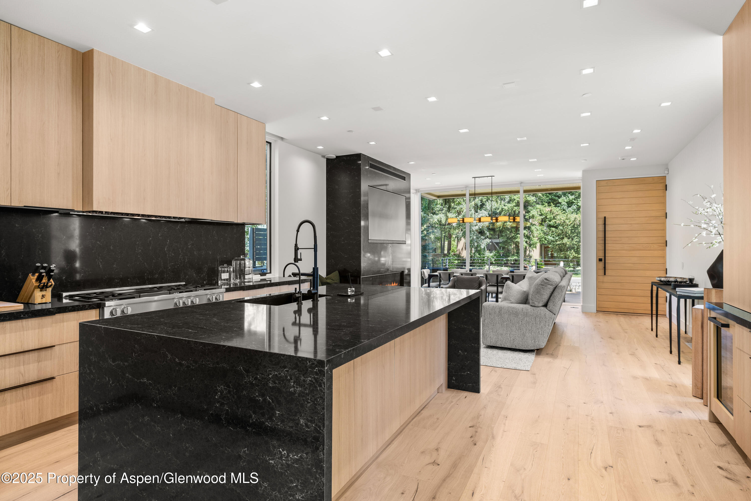 219 W Bleeker Street Aspen CO 81611