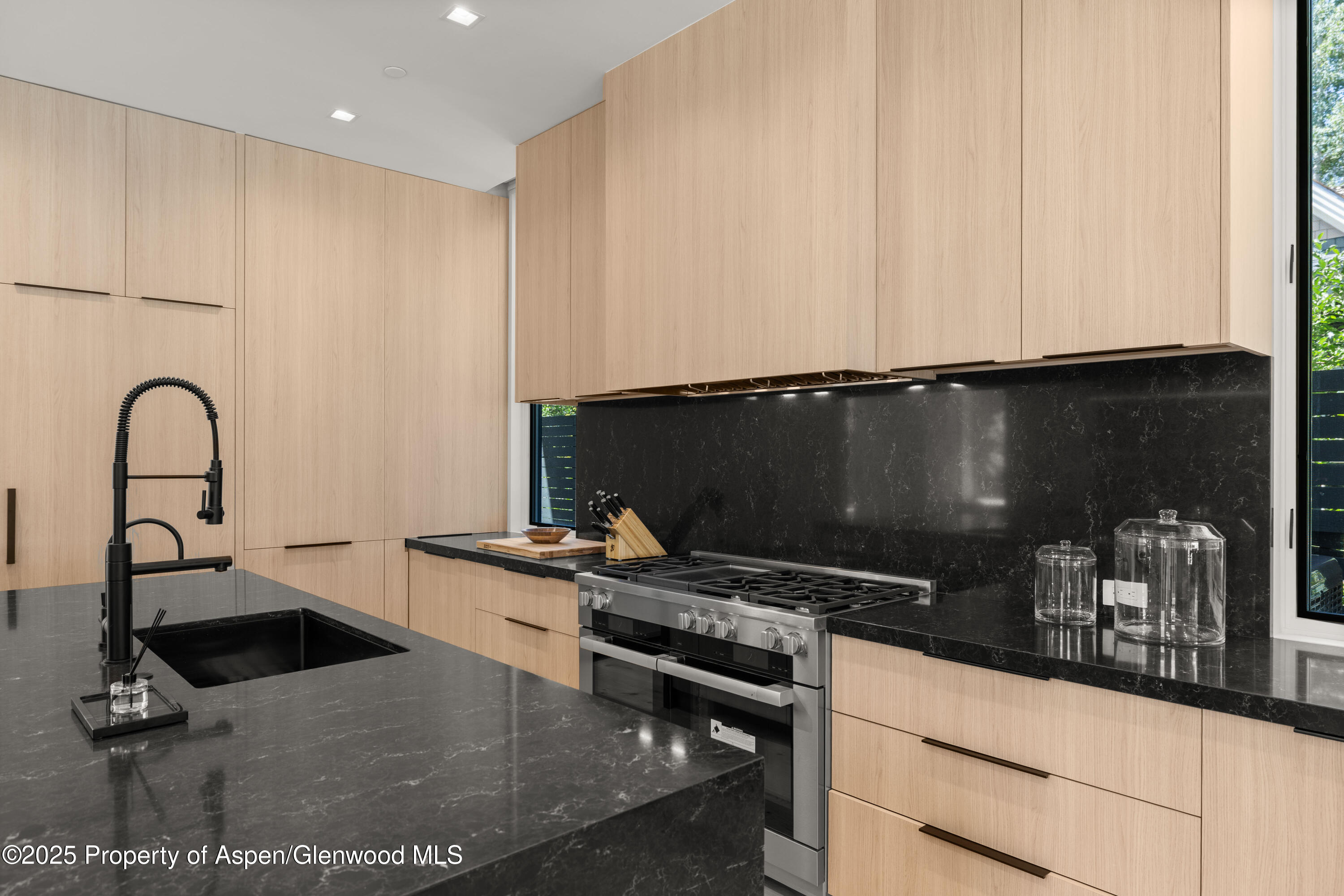 219 W Bleeker Street Aspen CO 81611