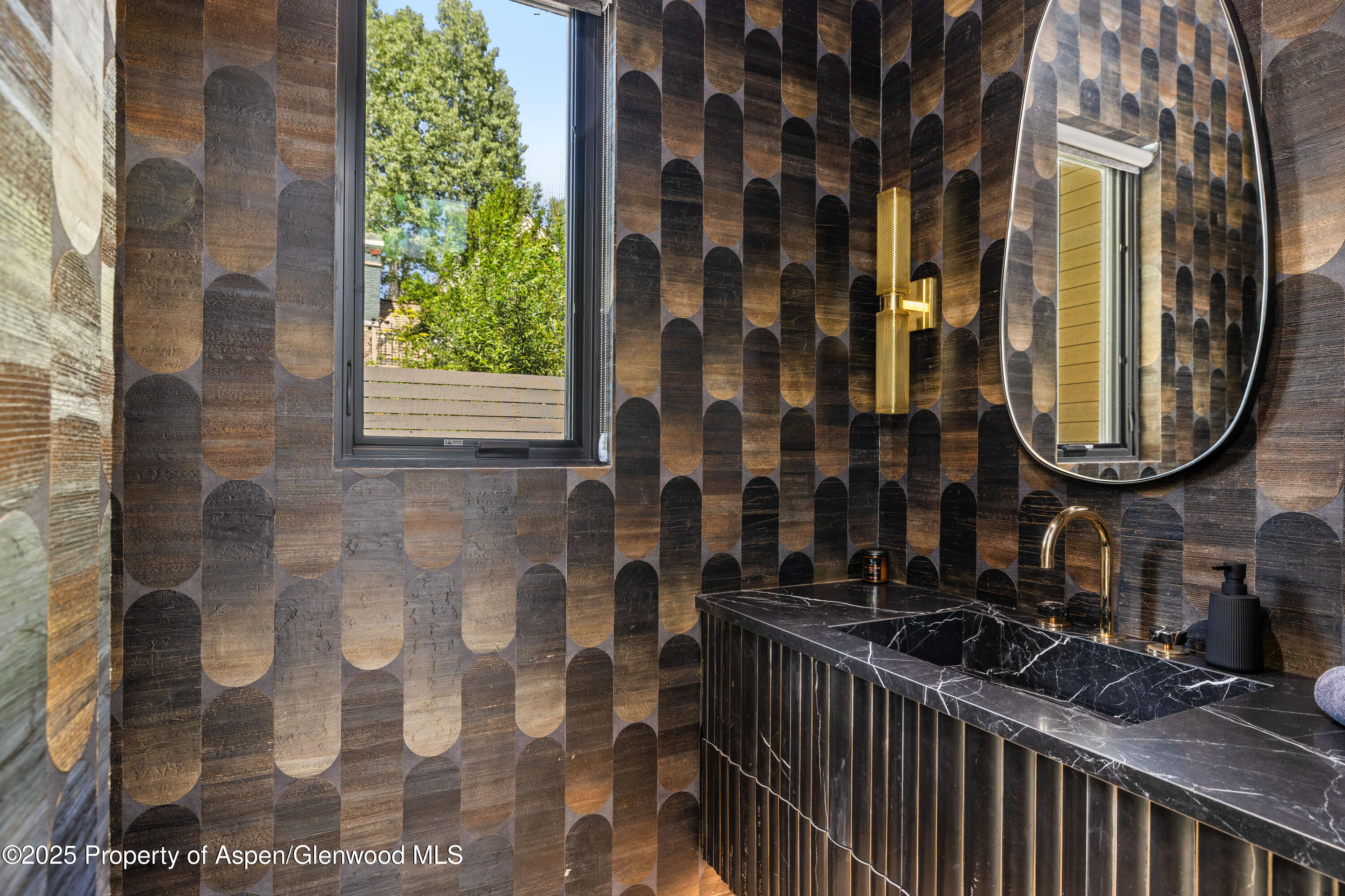 219 W Bleeker Street Aspen CO 81611