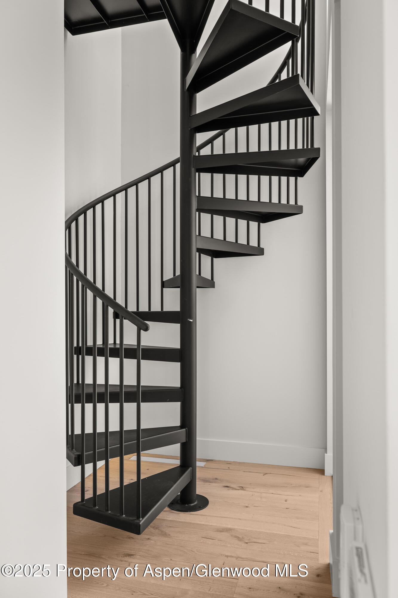 219 W Bleeker Street Aspen CO 81611