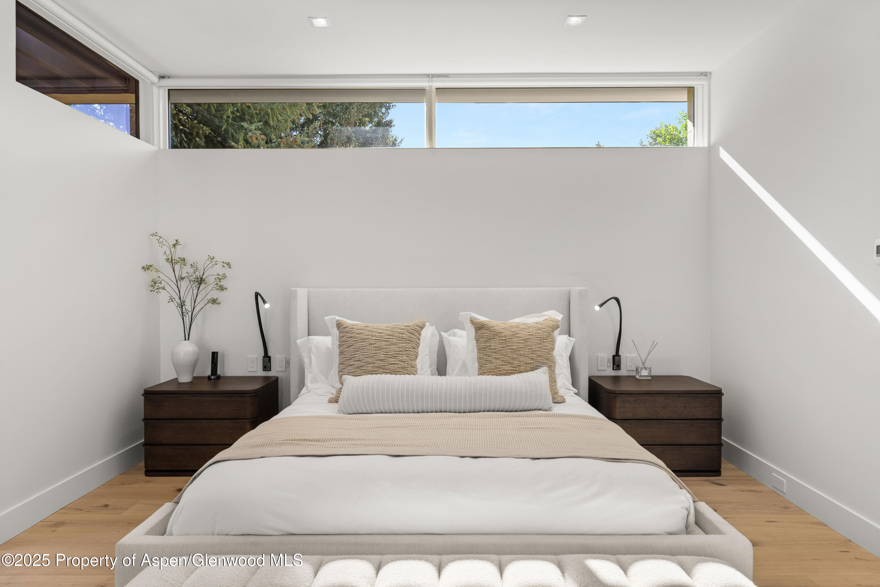 219 W Bleeker Street Aspen CO 81611