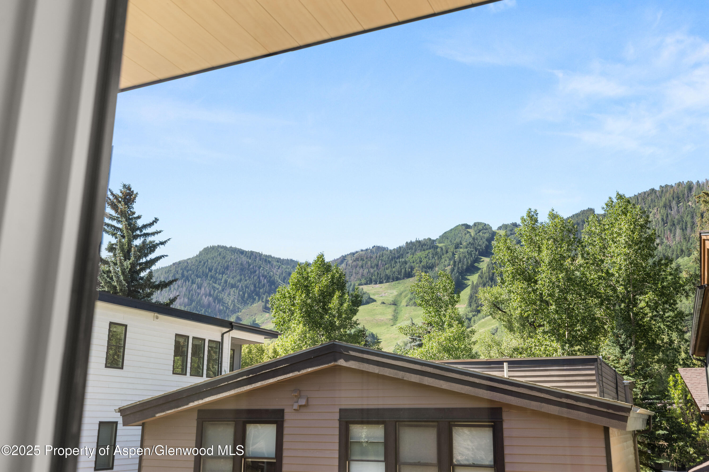 219 W Bleeker Street Aspen CO 81611