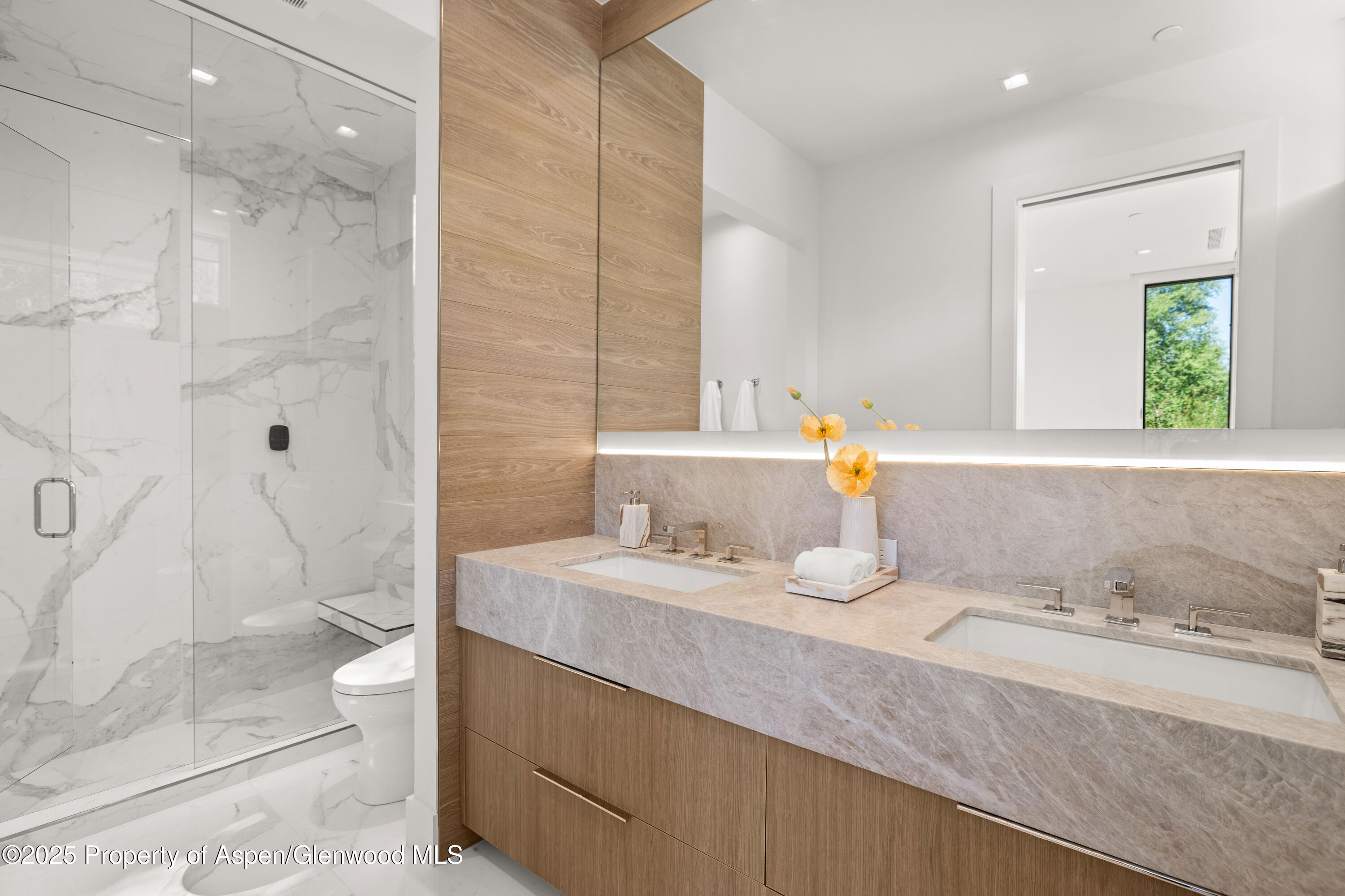 219 W Bleeker Street Aspen CO 81611